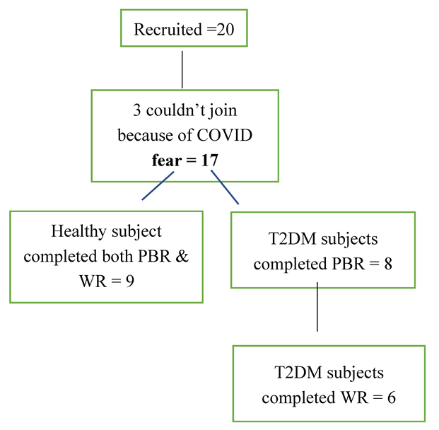 Preprints 157127 g006