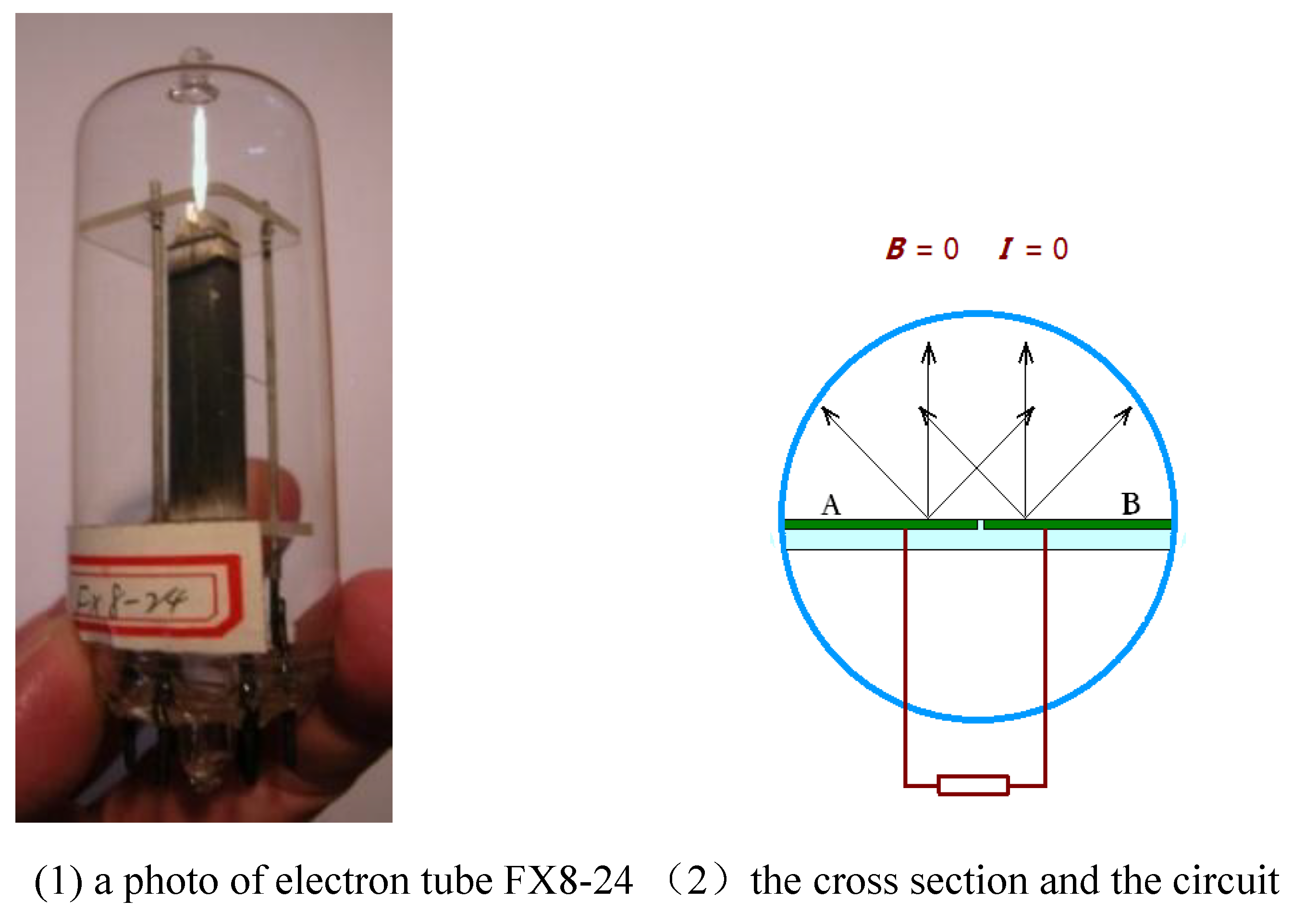 Preprints 167834 g004