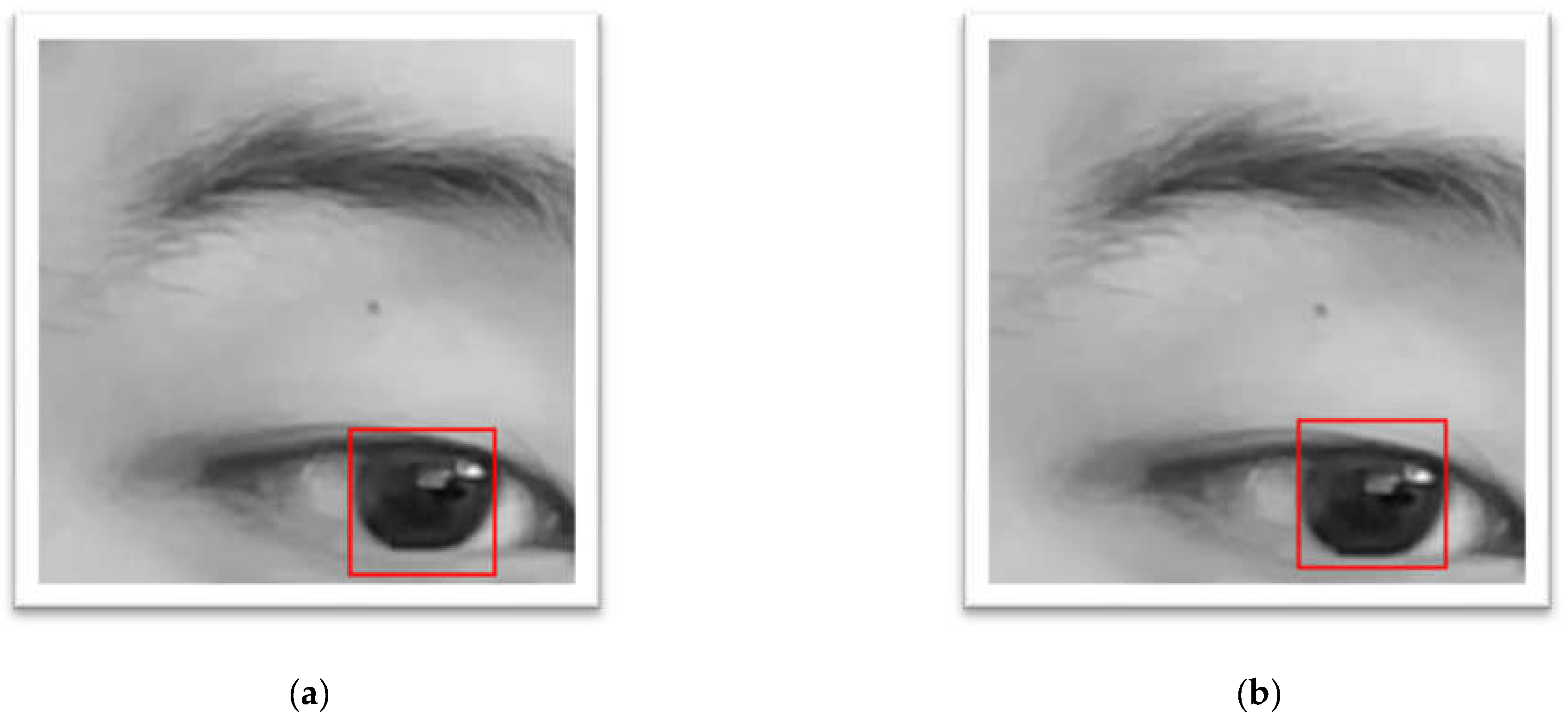 Preprints 155932 g004