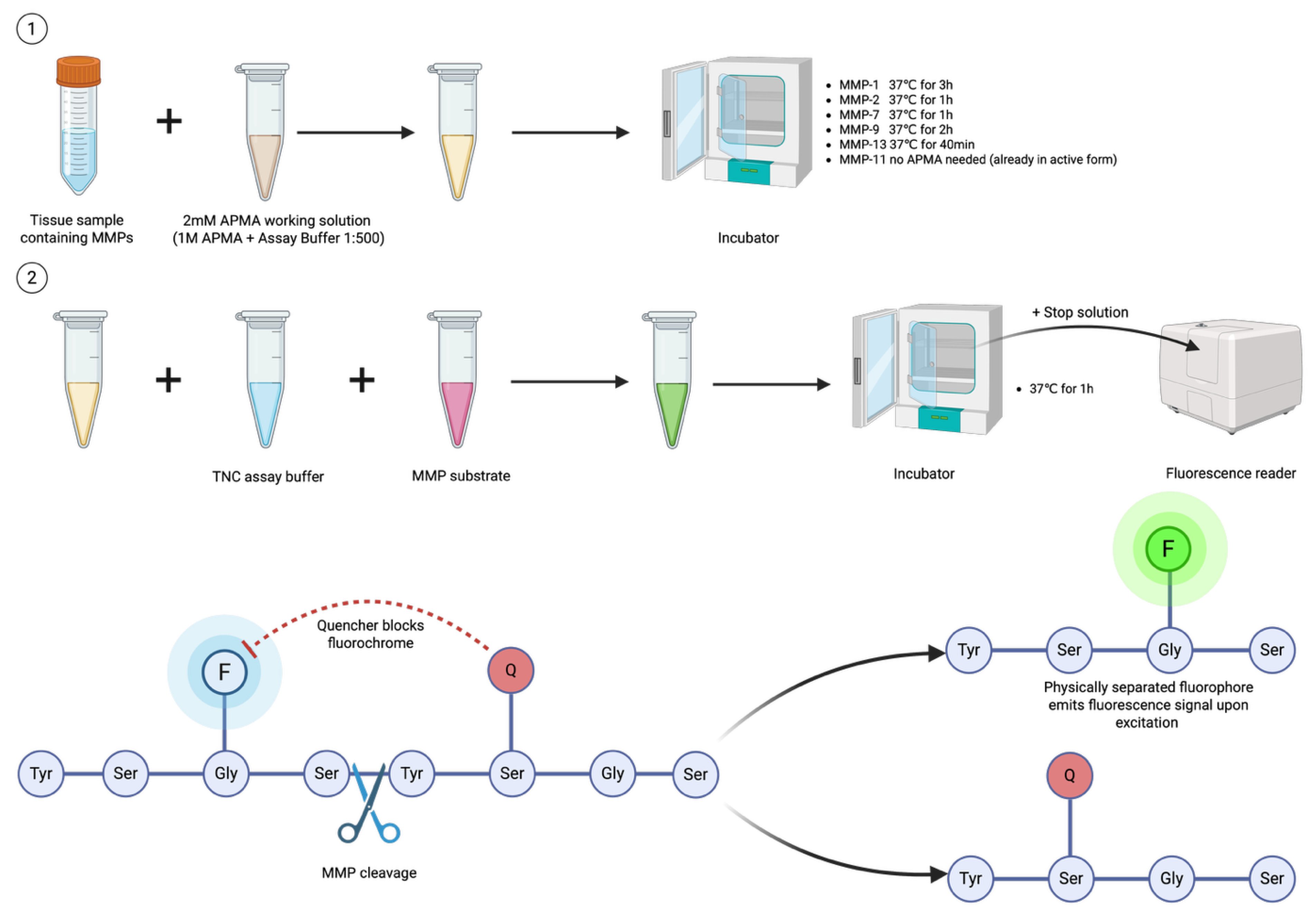 Preprints 187707 g001