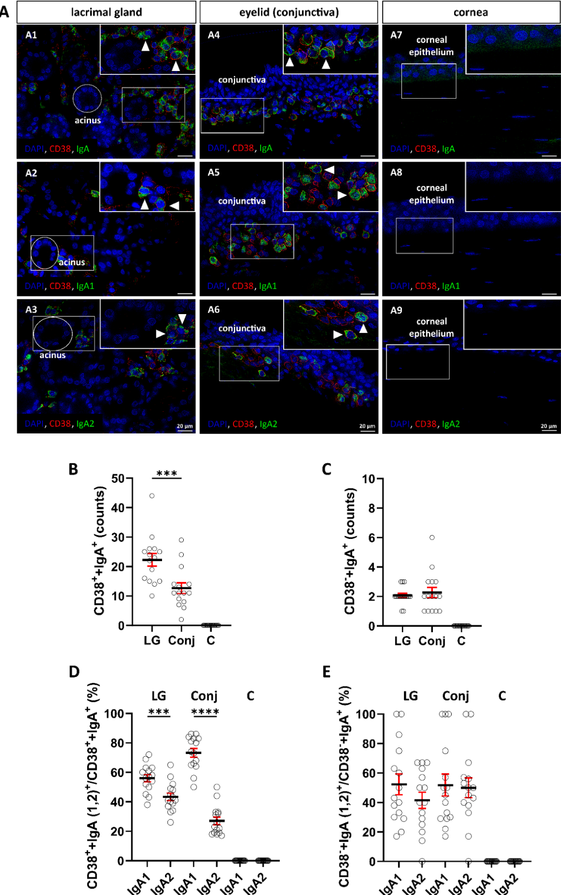 Preprints 236181 g001