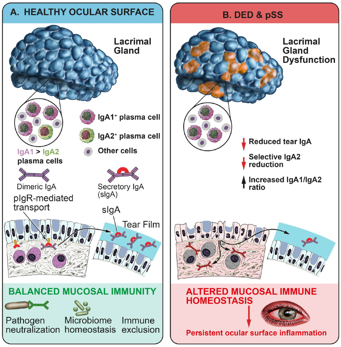 Preprints 236181 g006