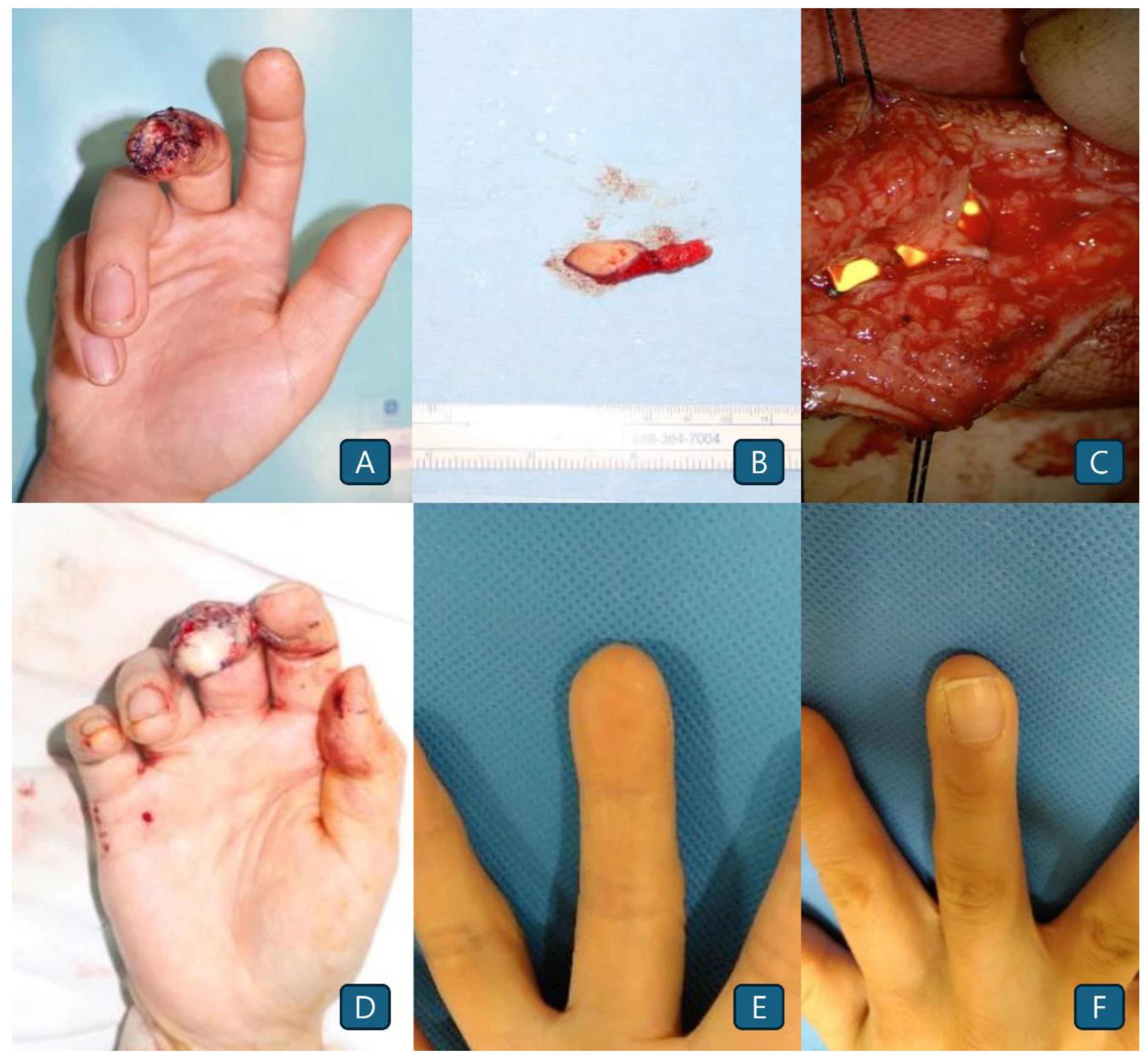 Preprints 168297 g001