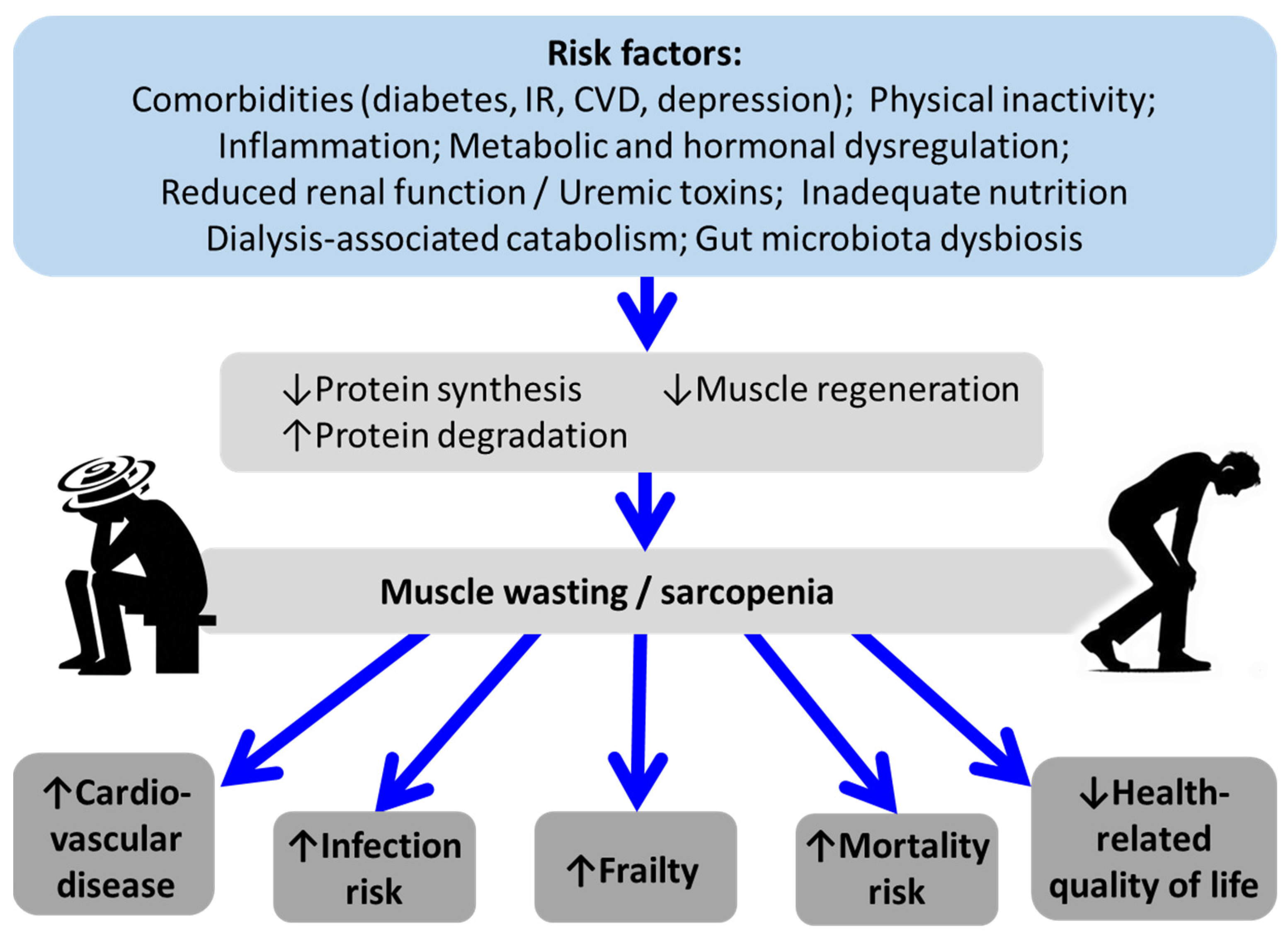 Preprints 144927 g002