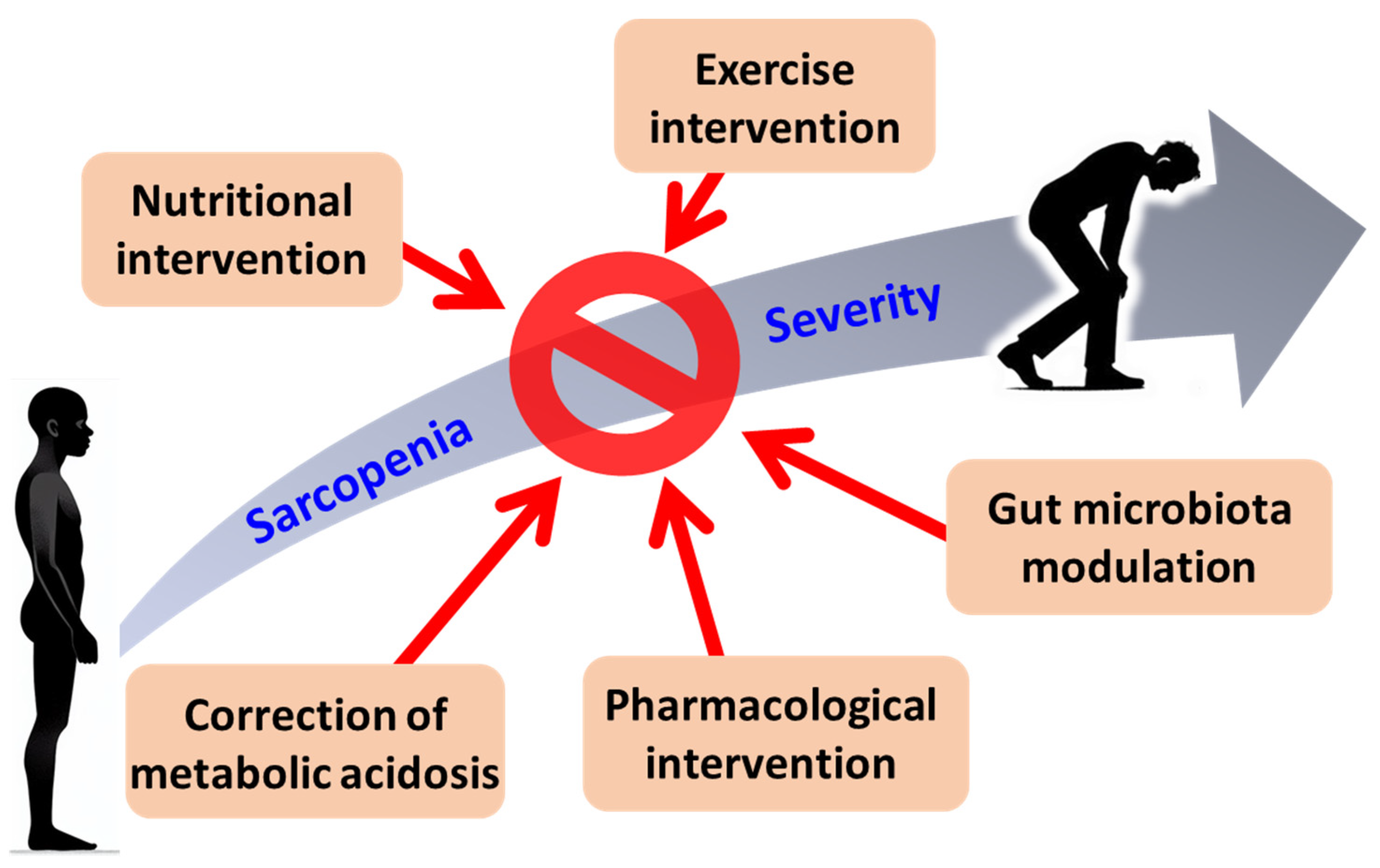 Preprints 144927 g003