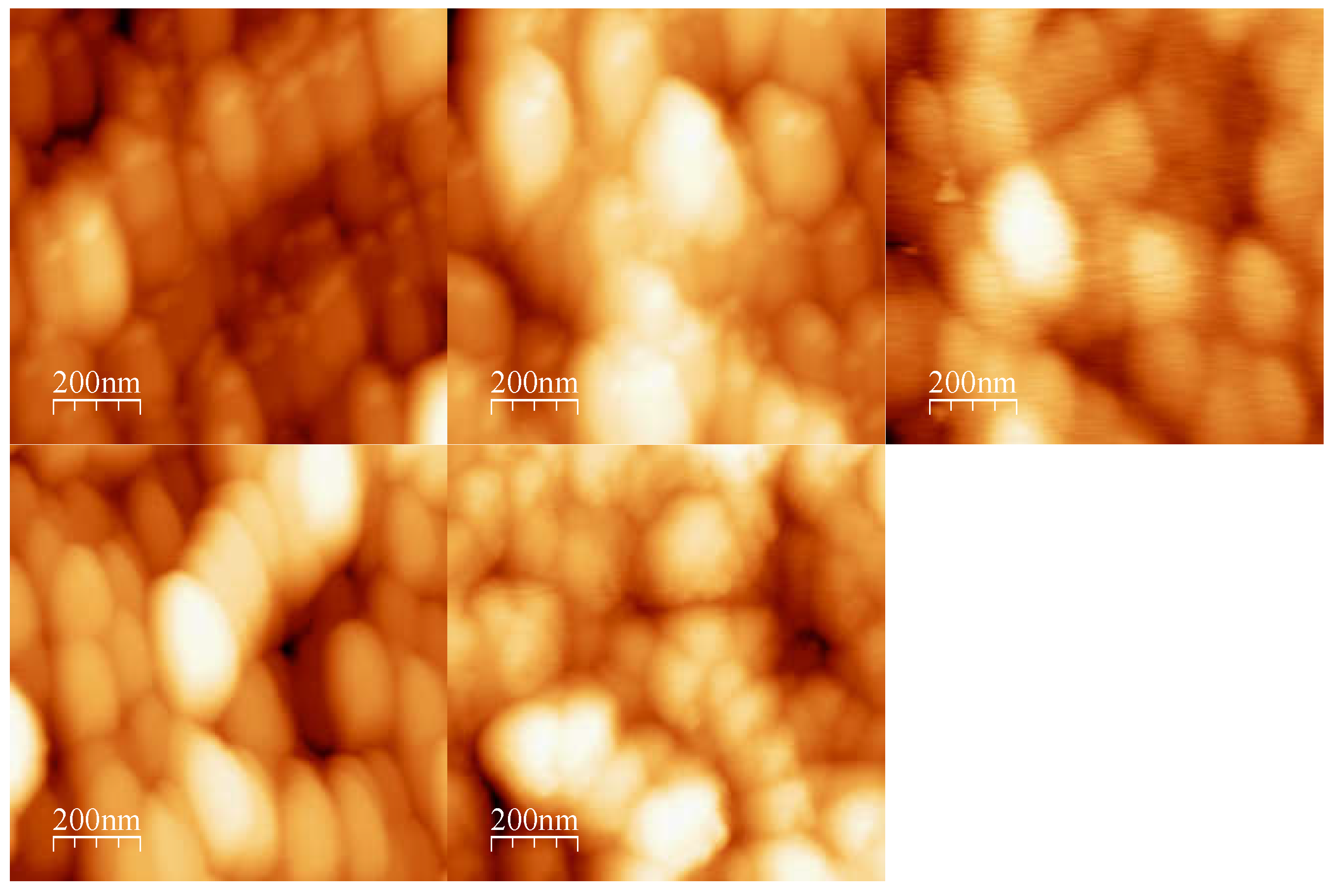 Preprints 199083 g002