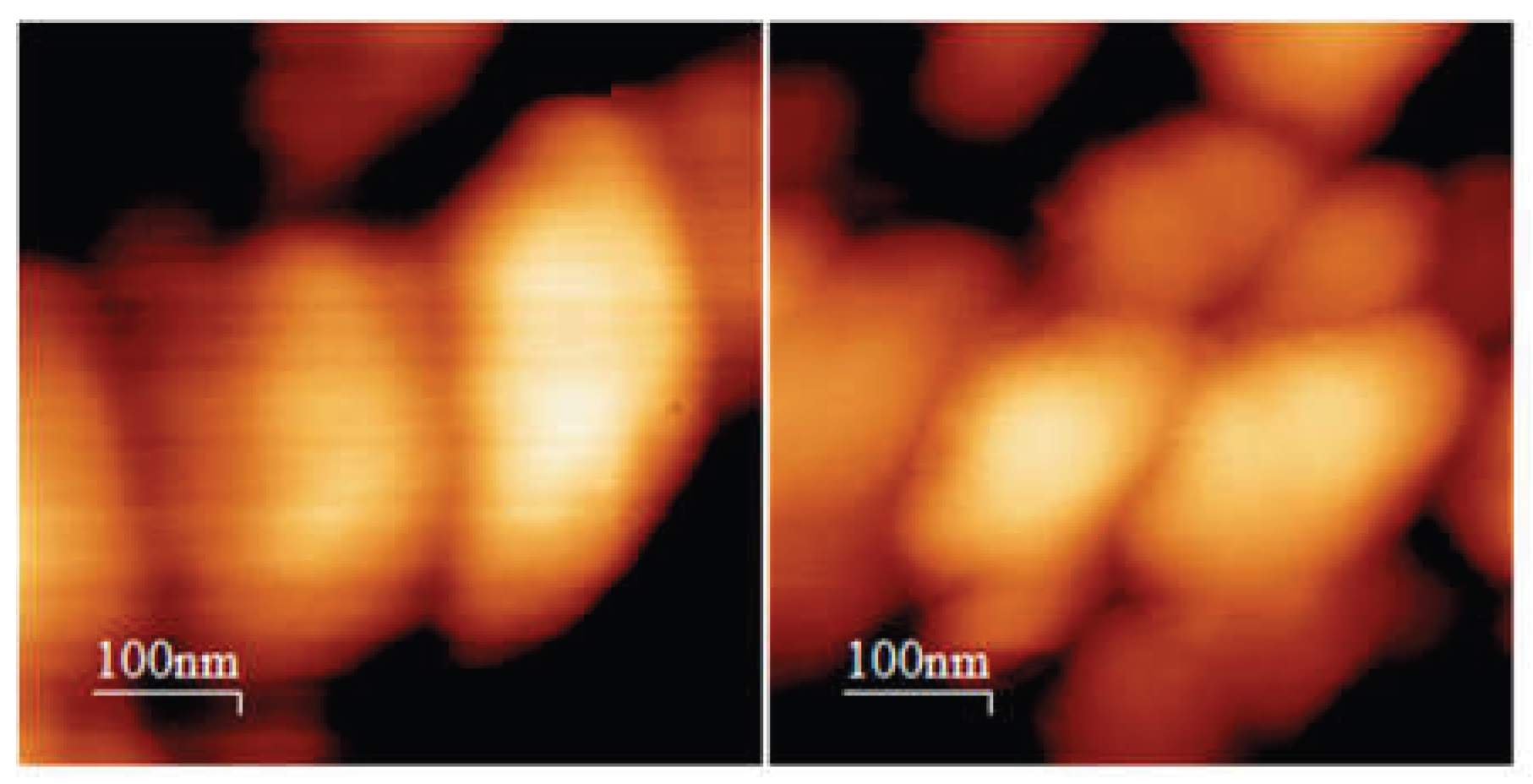 Preprints 199083 g003