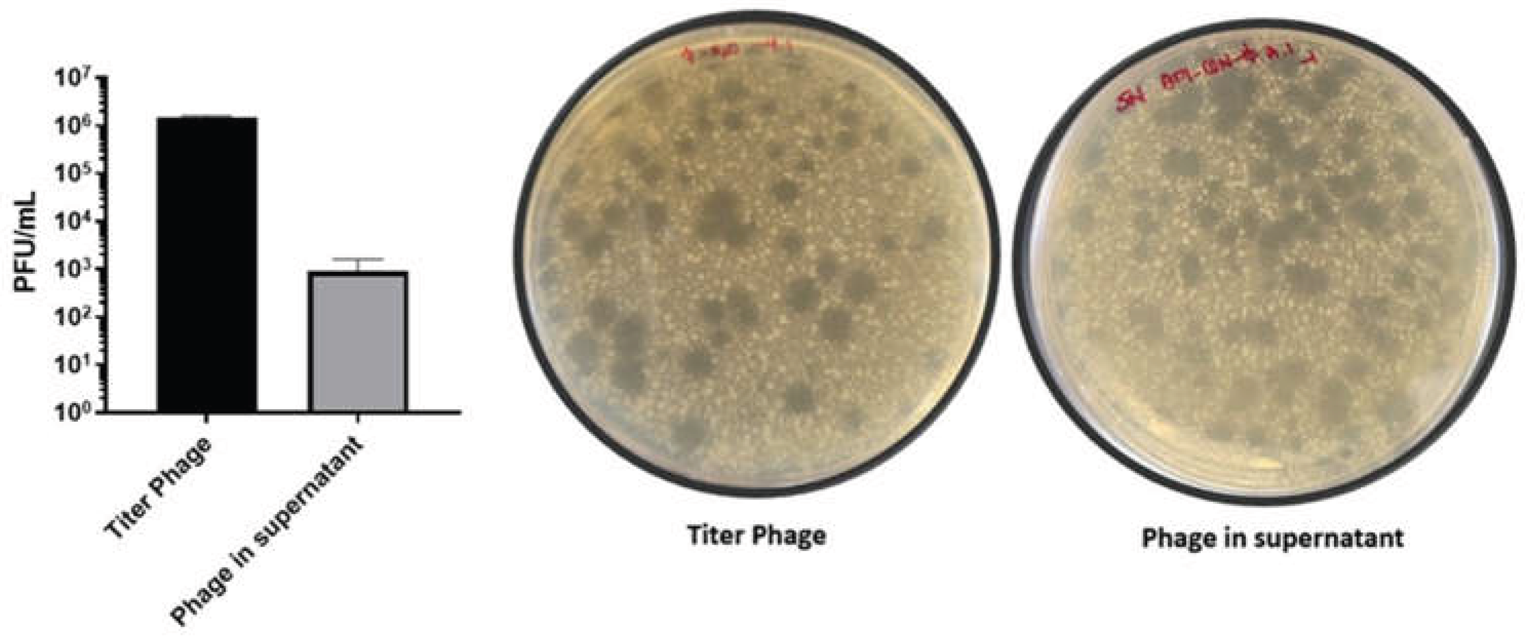 Preprints 199083 g004