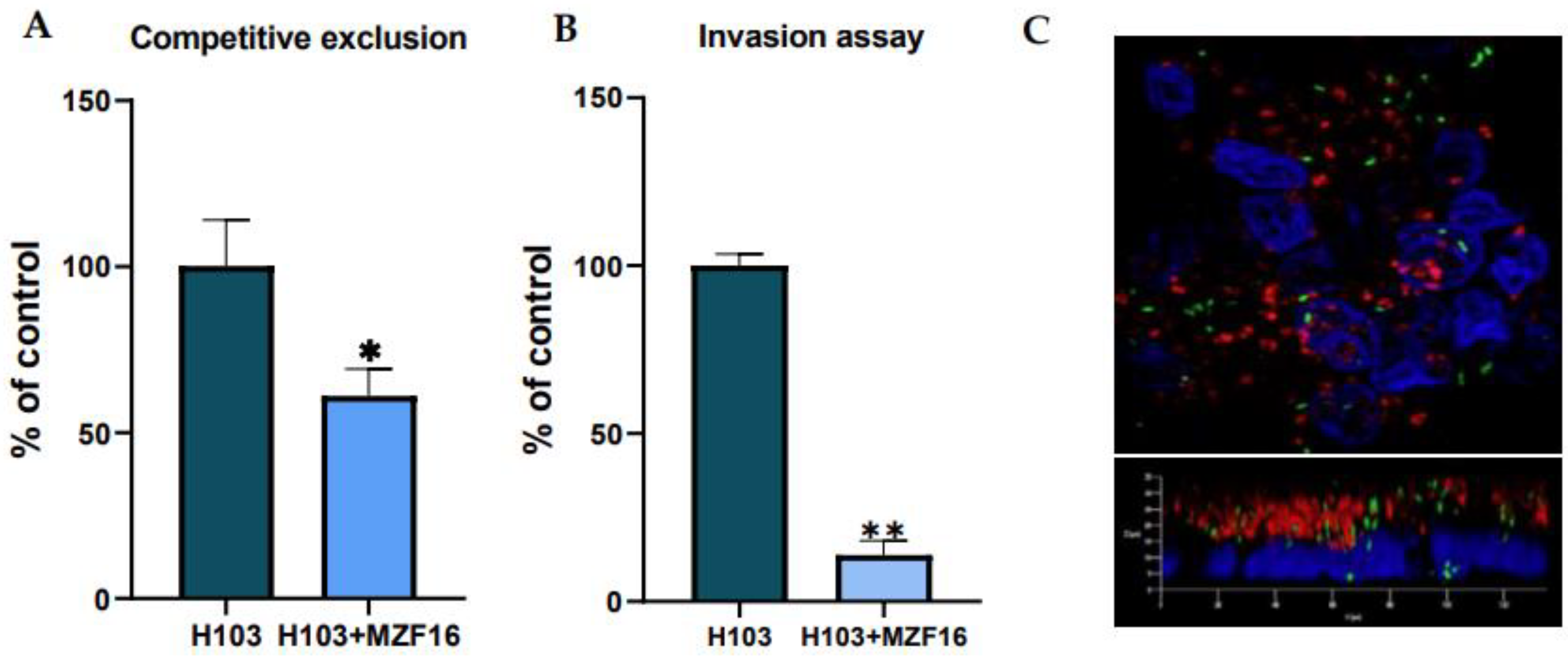 Preprints 145599 g002