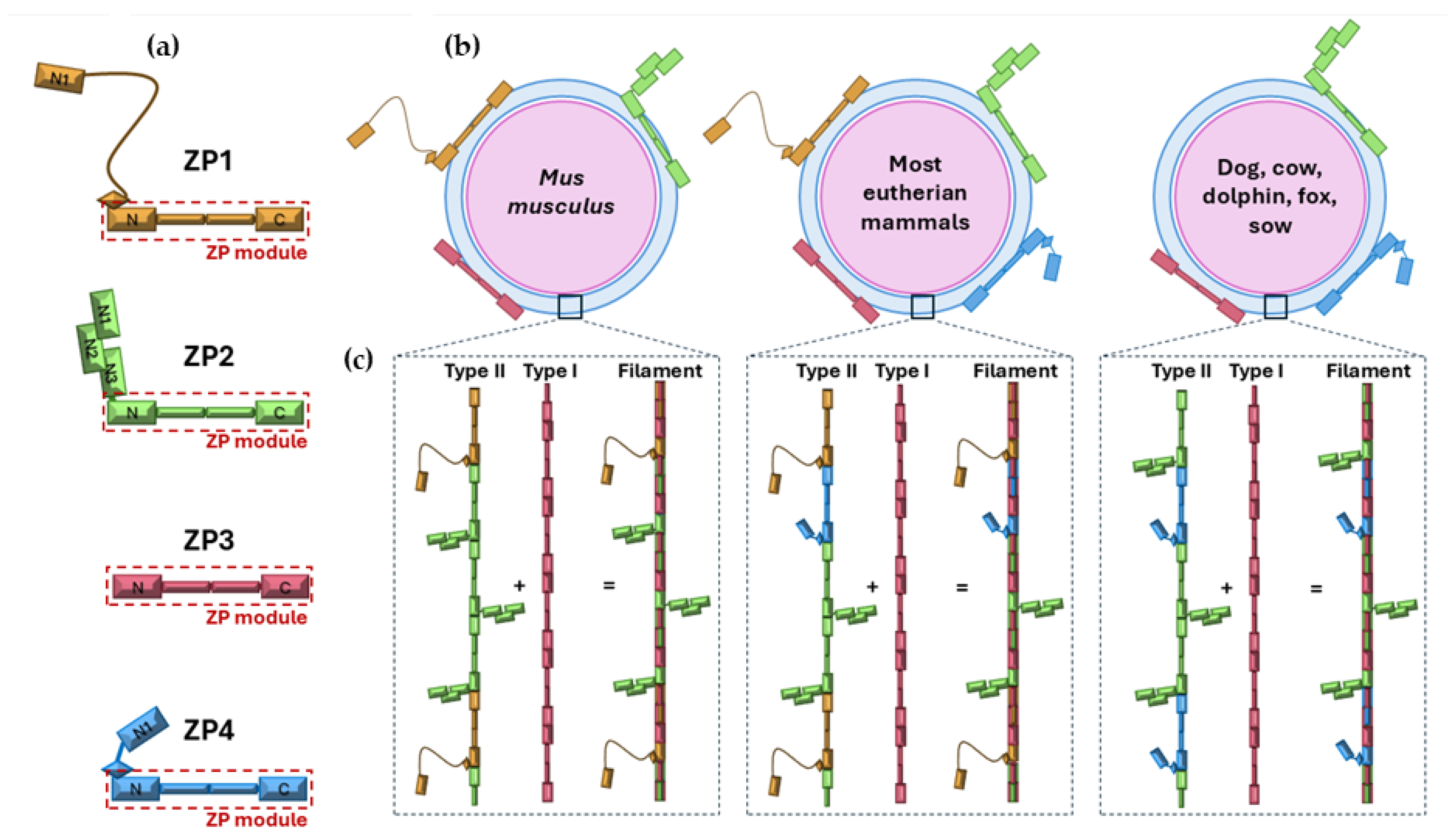 Preprints 179291 g002