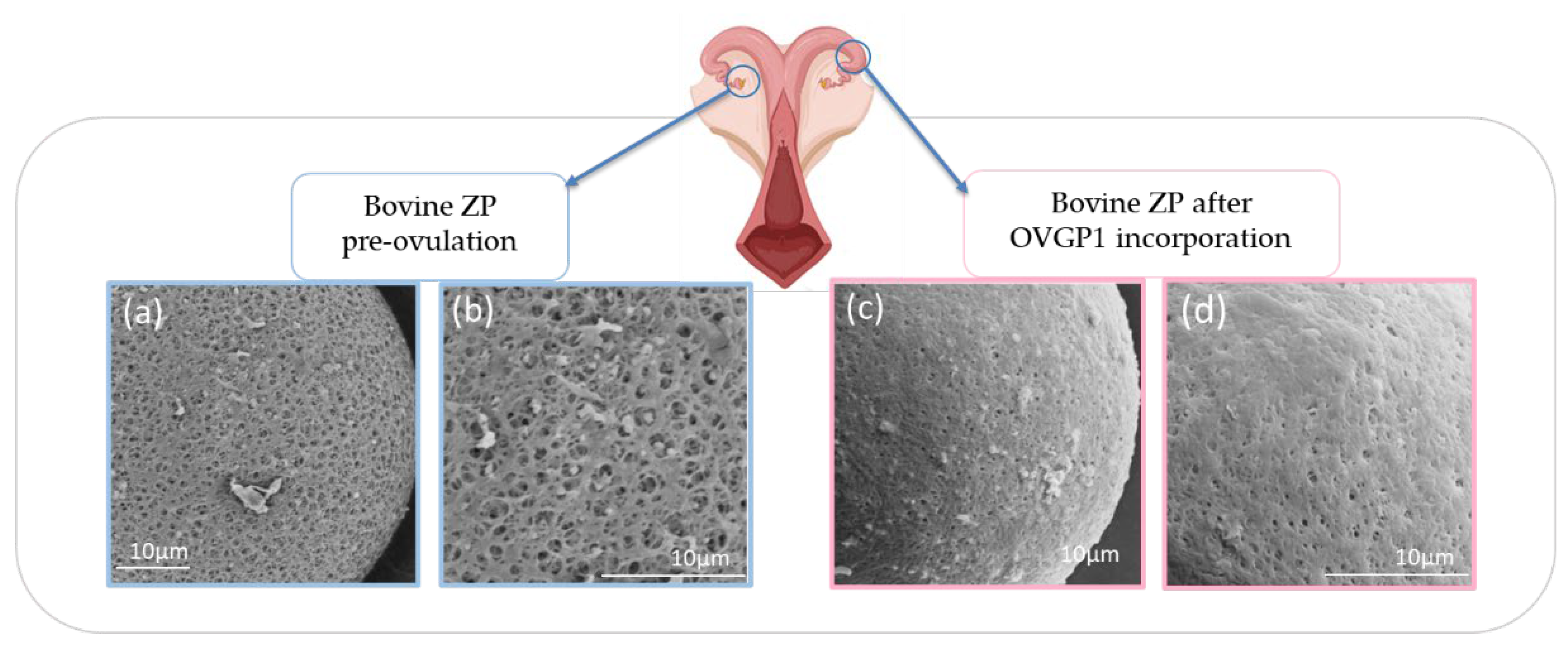 Preprints 179291 g003