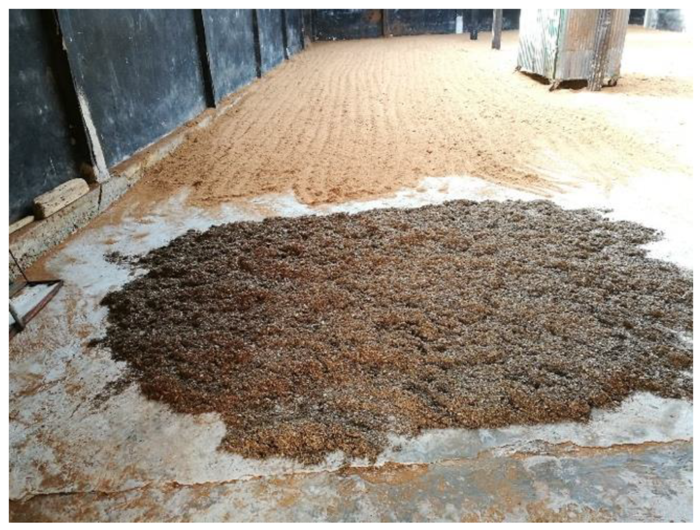 Preprints 172168 g001