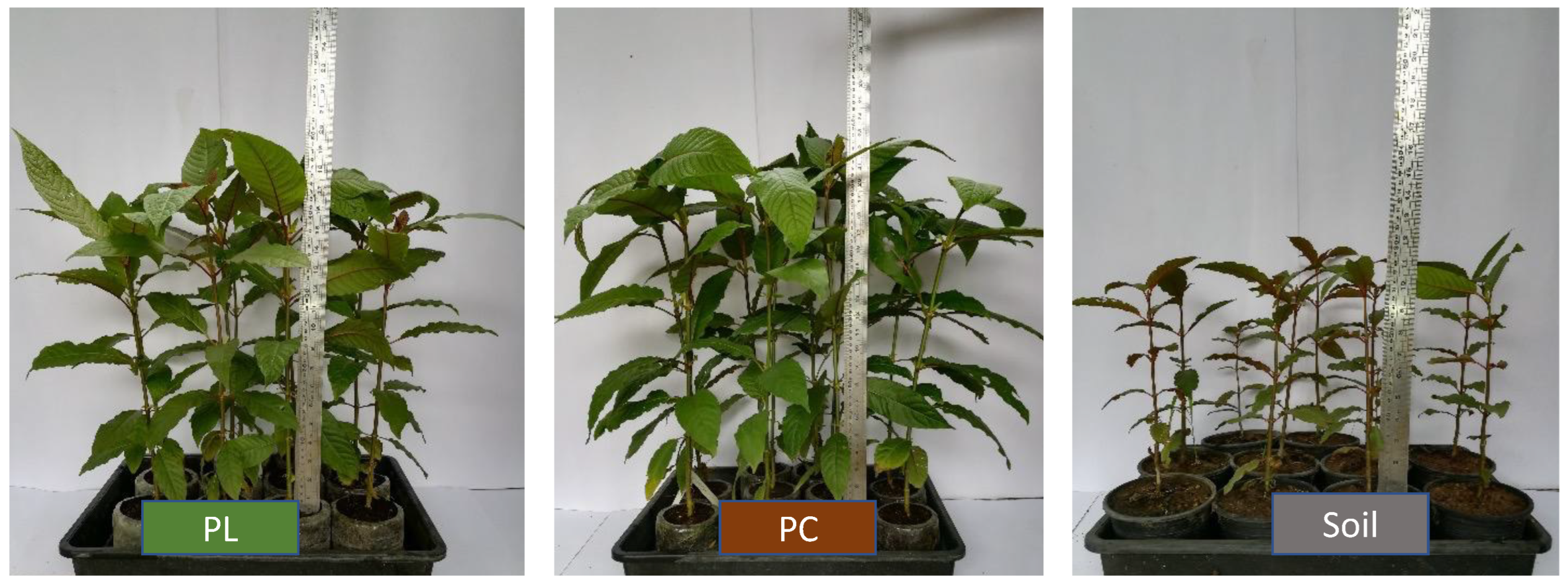 Preprints 172168 g003