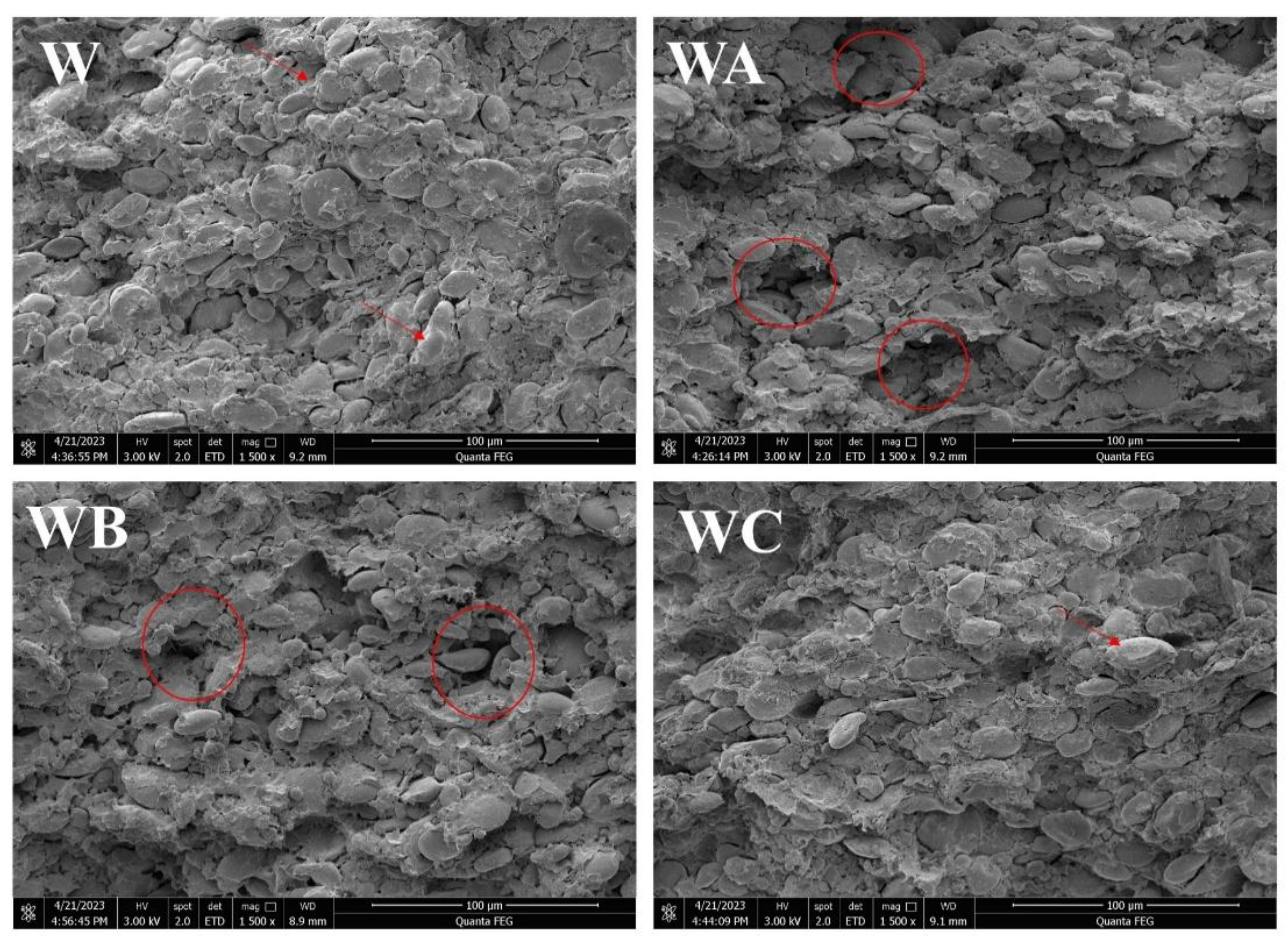 Preprints 181554 g001