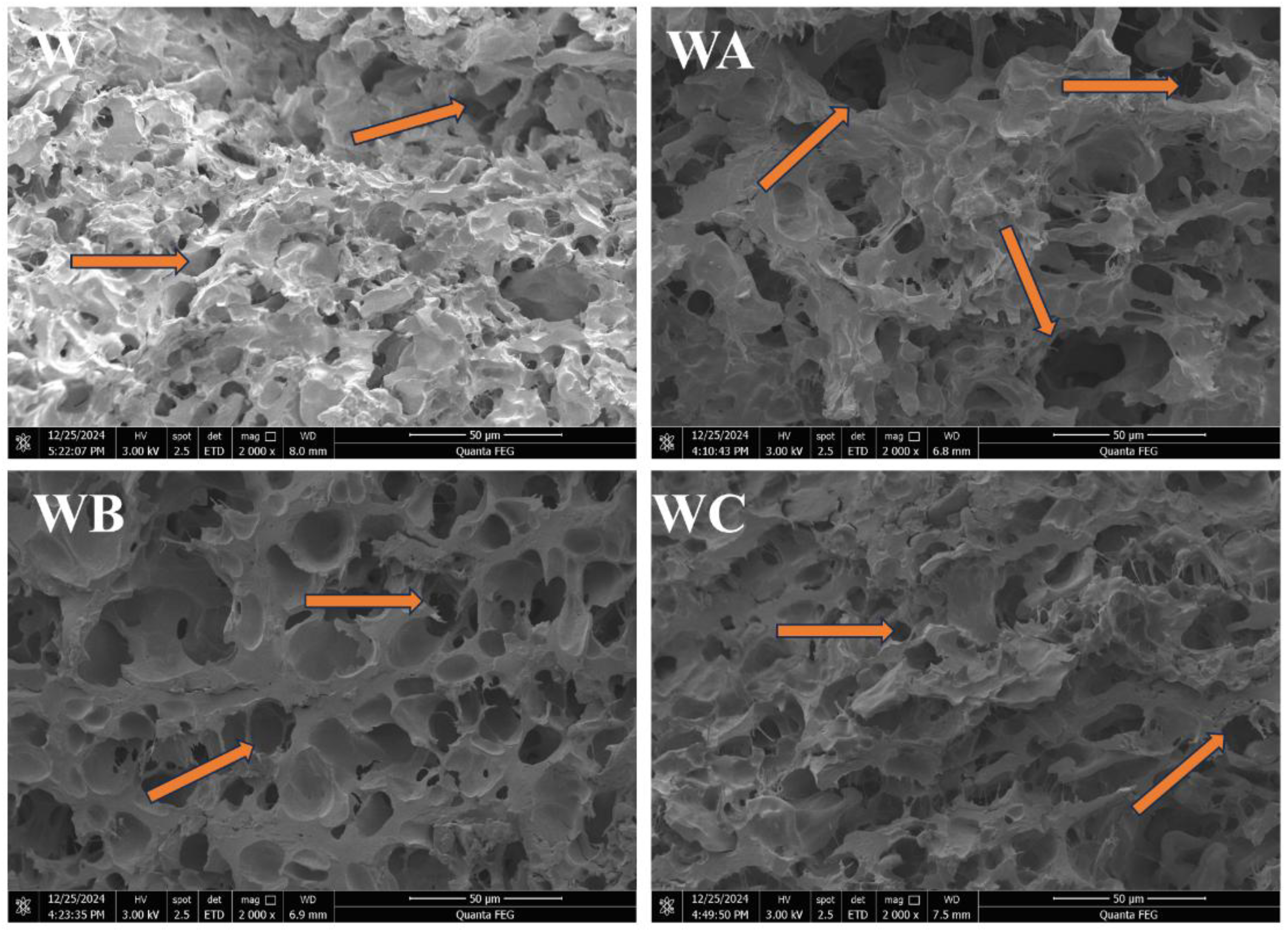 Preprints 181554 g005