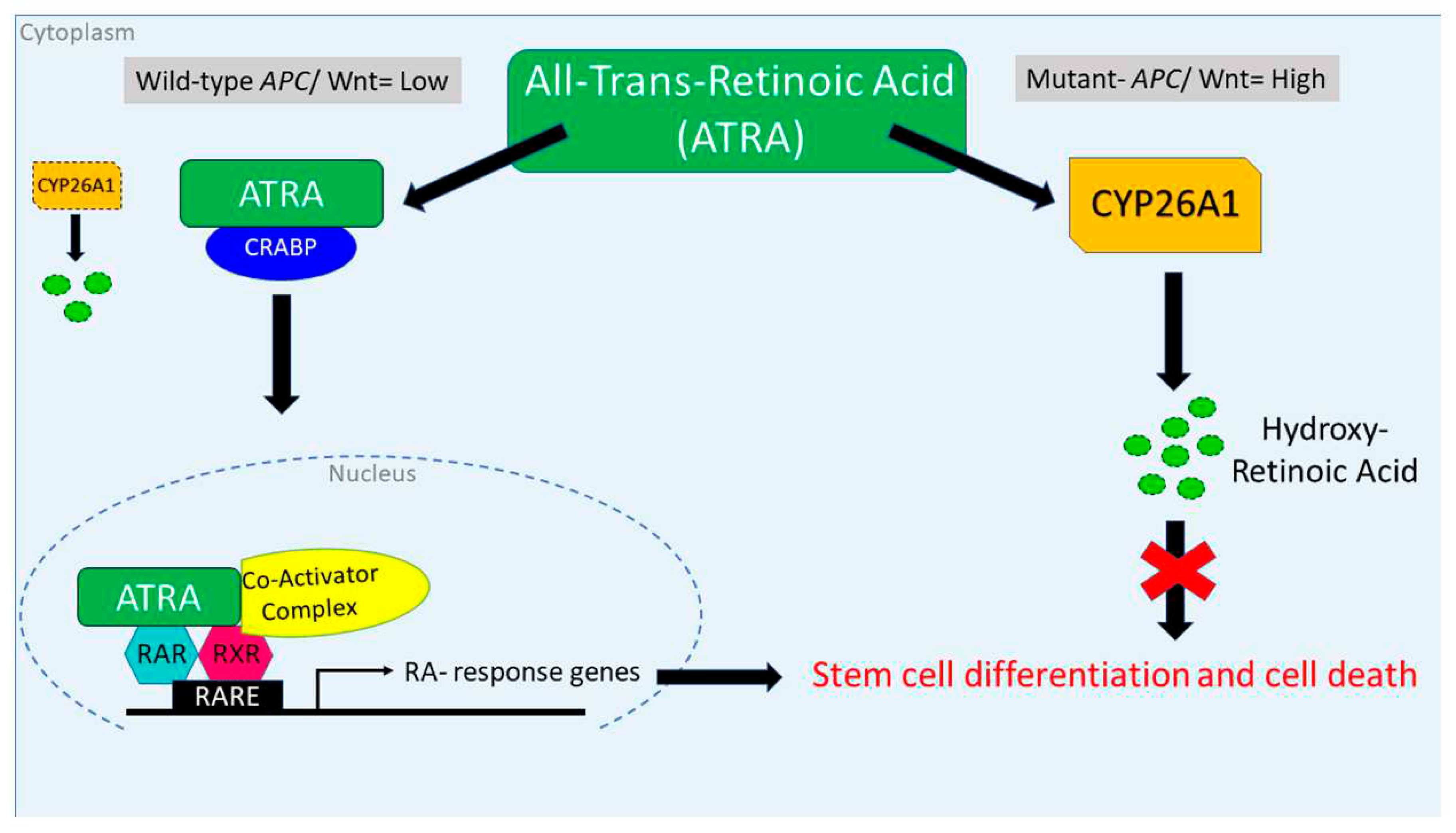 Preprints 93474 g008