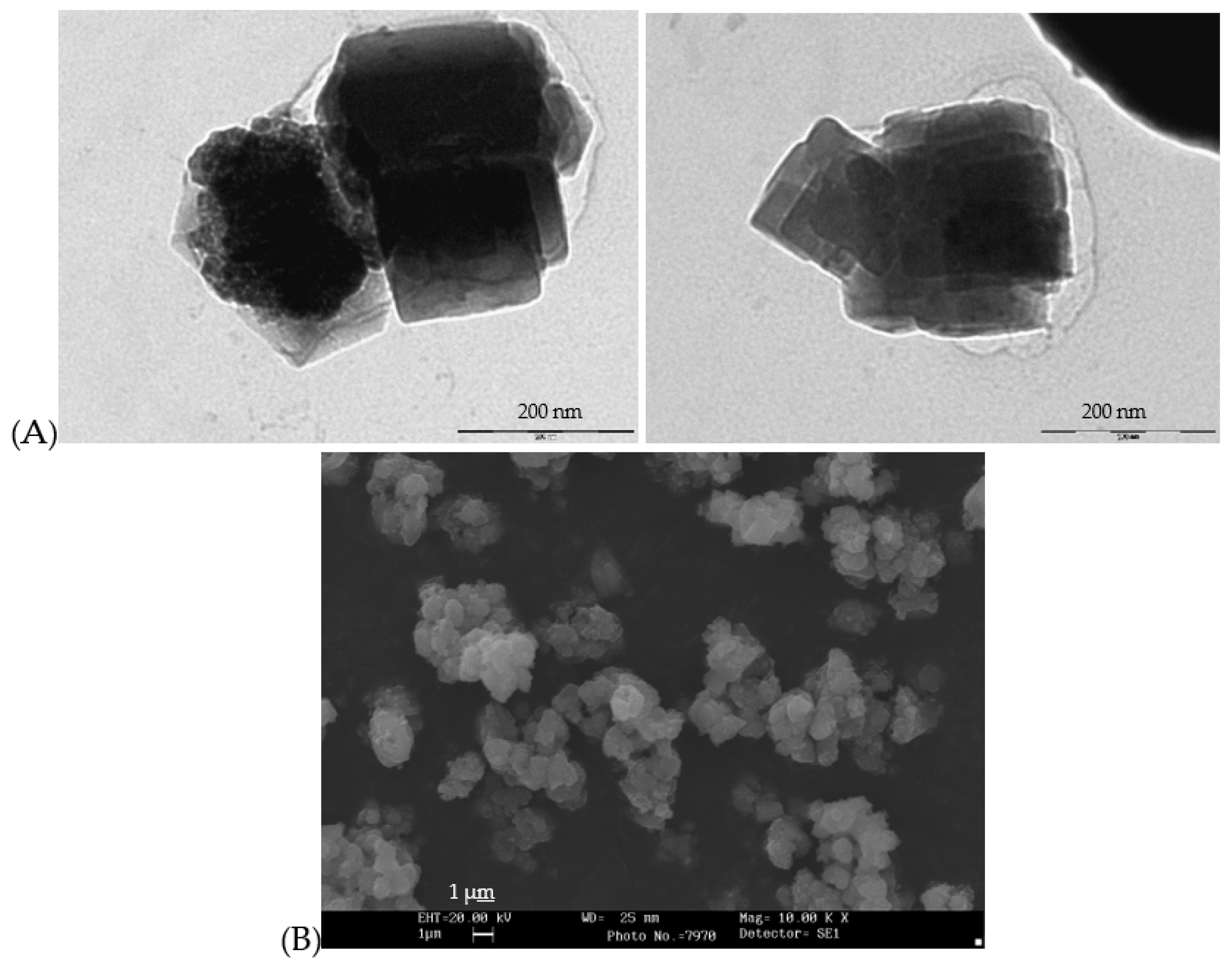 Preprints 93124 g011