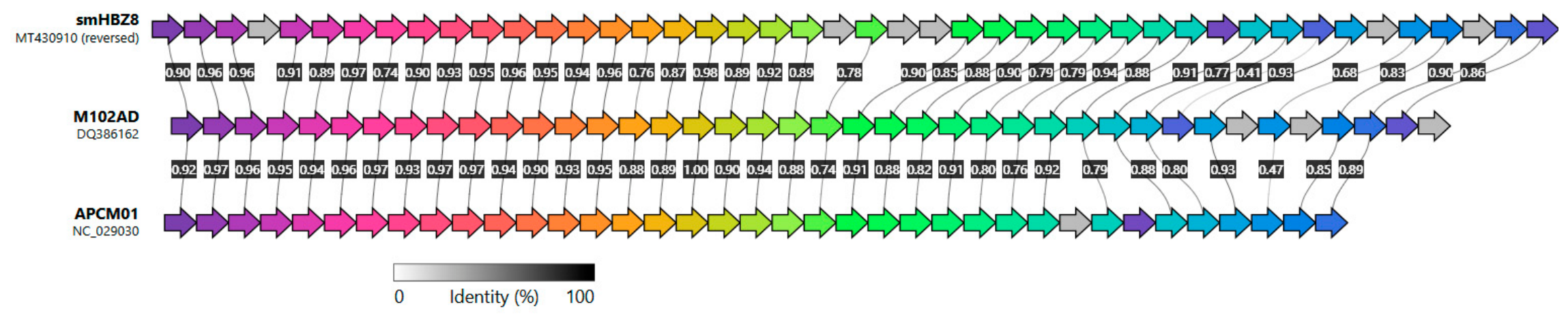 Preprints 228336 g001 Preprints 228336 g001