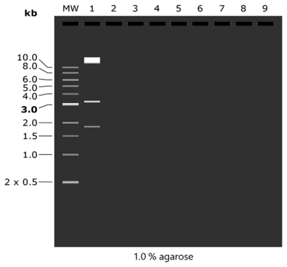 Preprints 228336 g005 Preprints 228336 g005