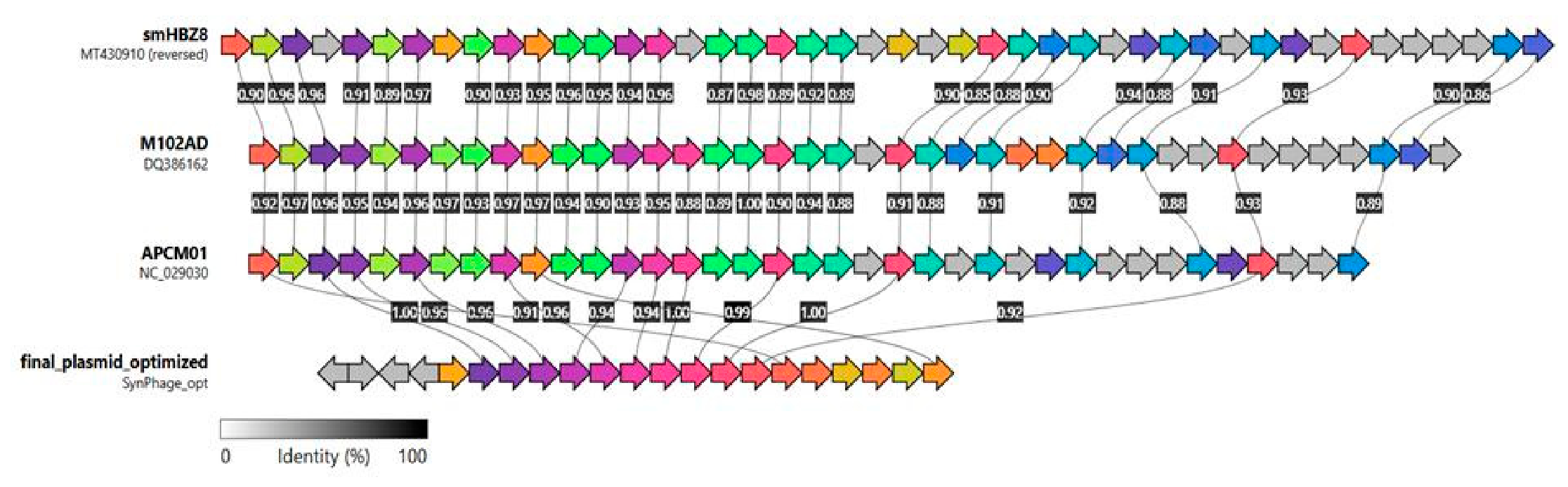 Preprints 228336 g006 Preprints 228336 g006
