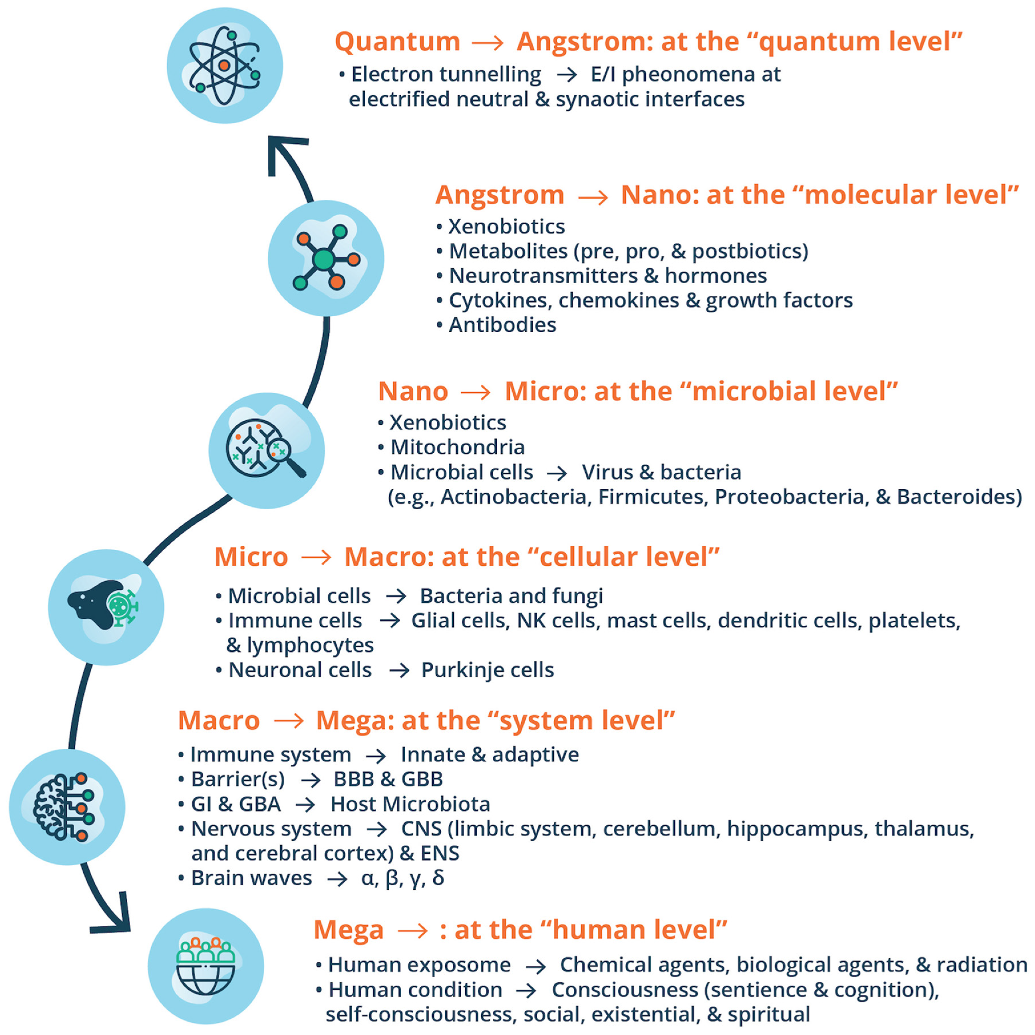Preprints 171324 g002