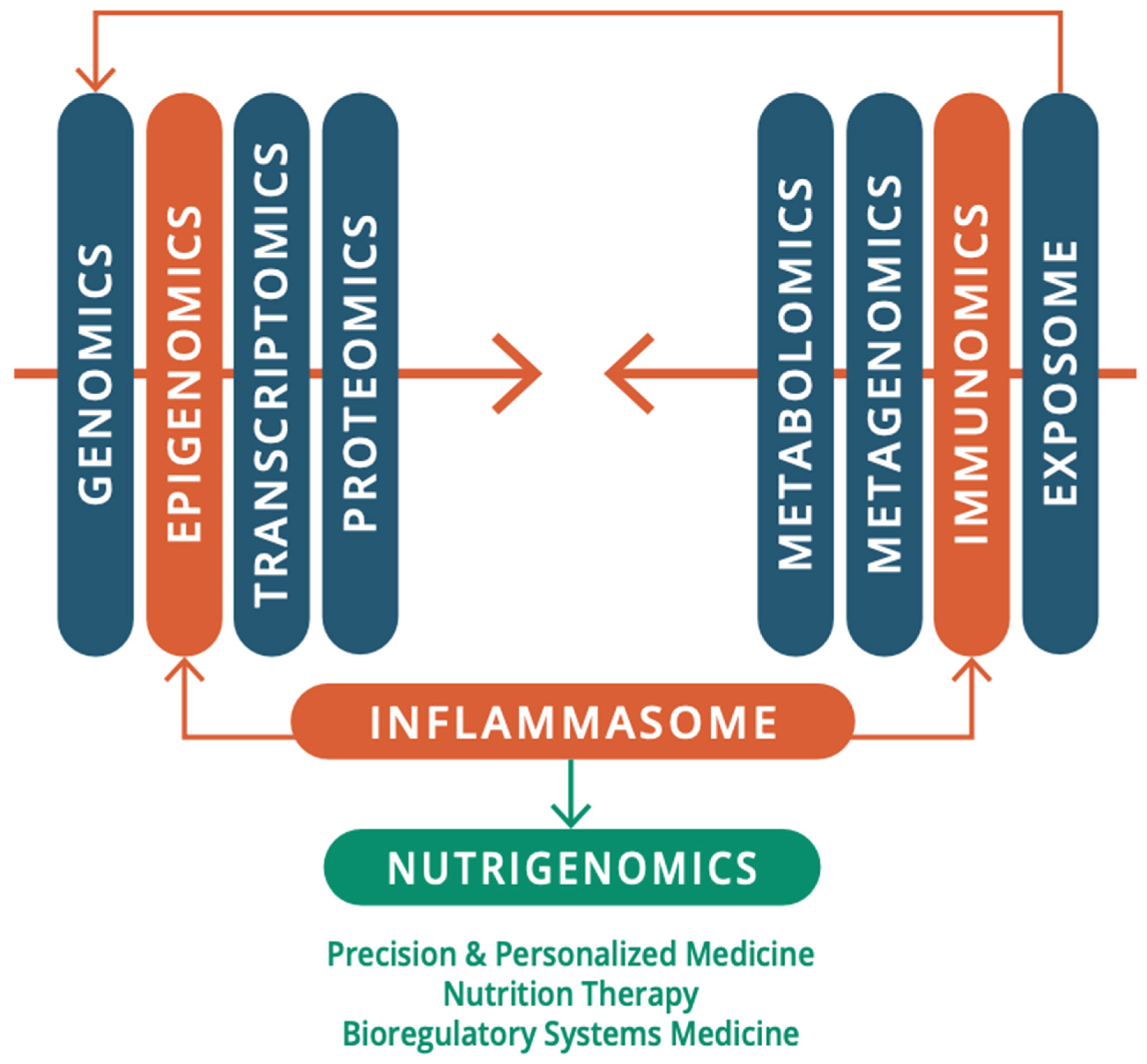 Preprints 171324 g003