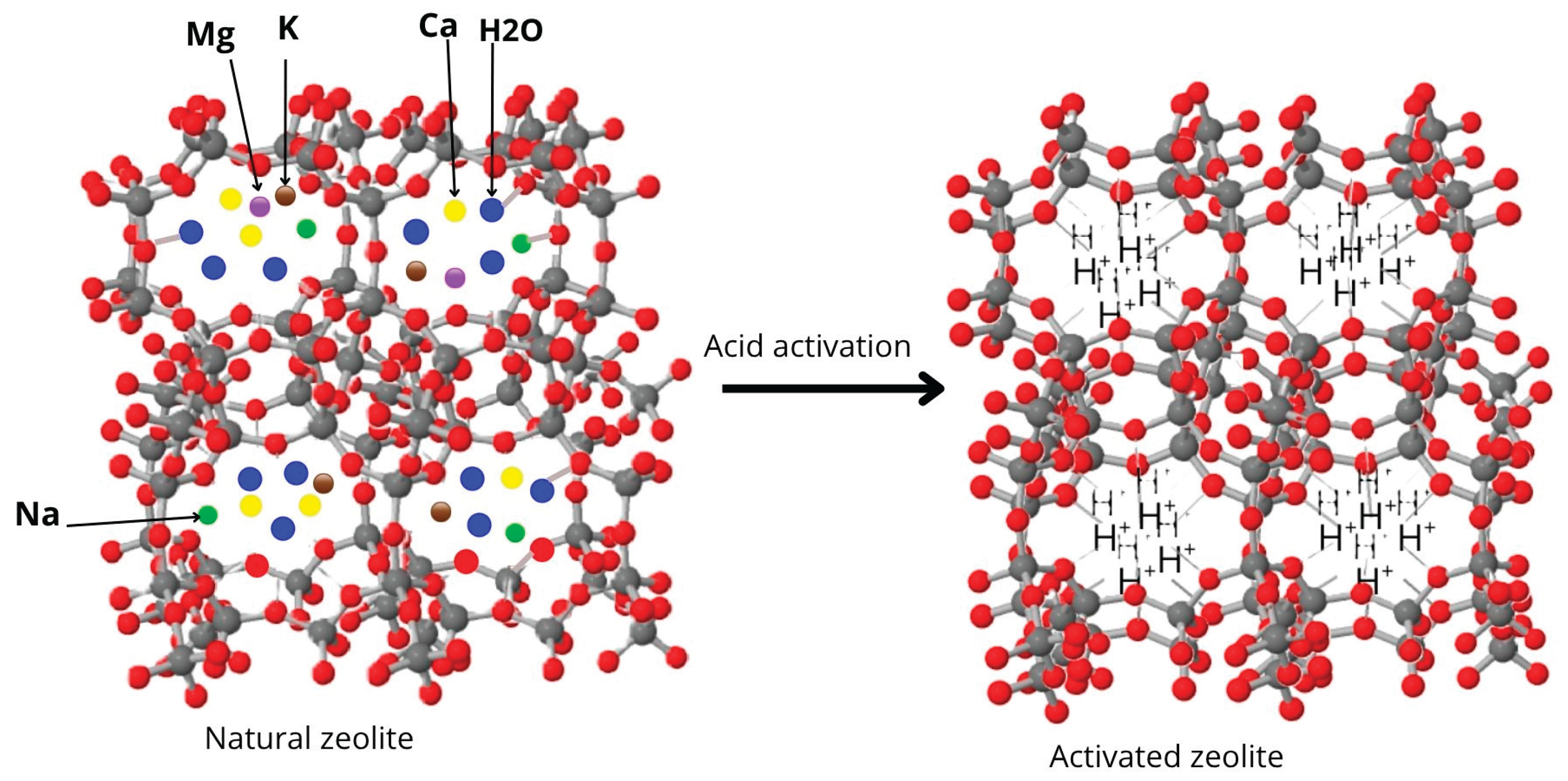 Preprints 172005 g001