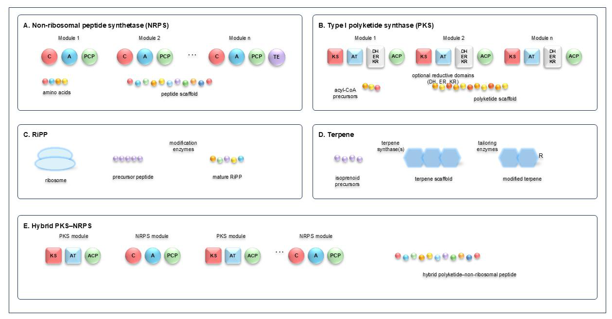 Preprints 233326 g002 Preprints 233326 g002