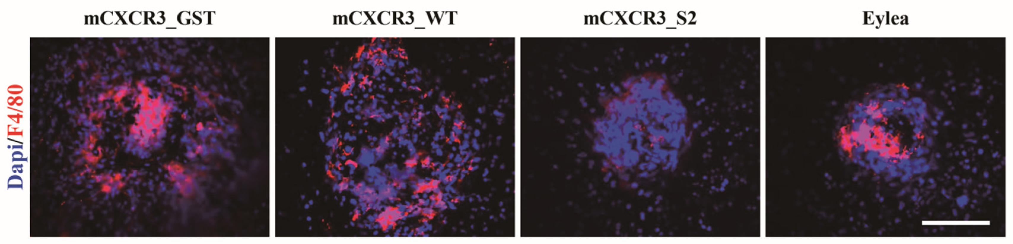 Preprints 88755 g004