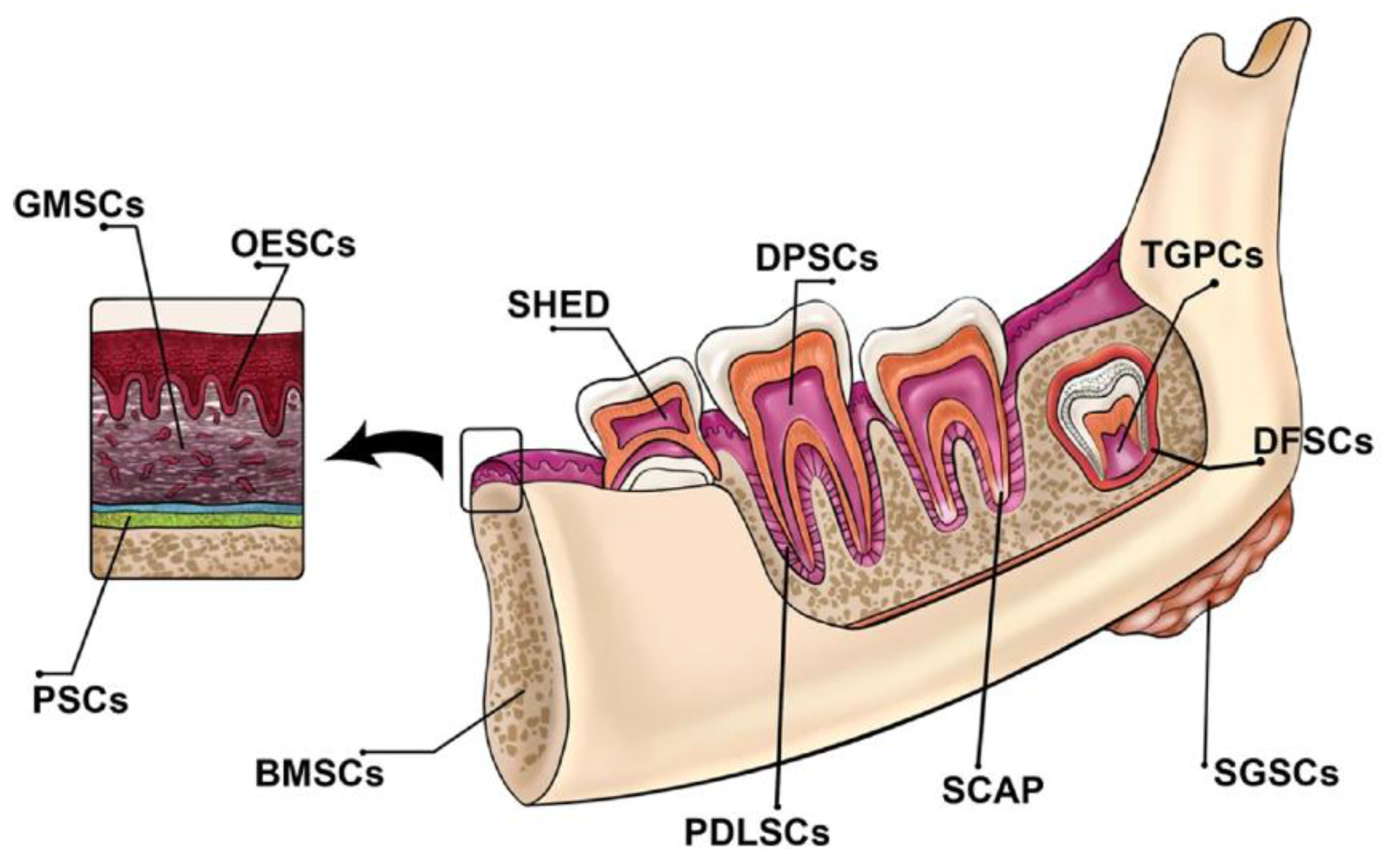 Preprints 172282 g001