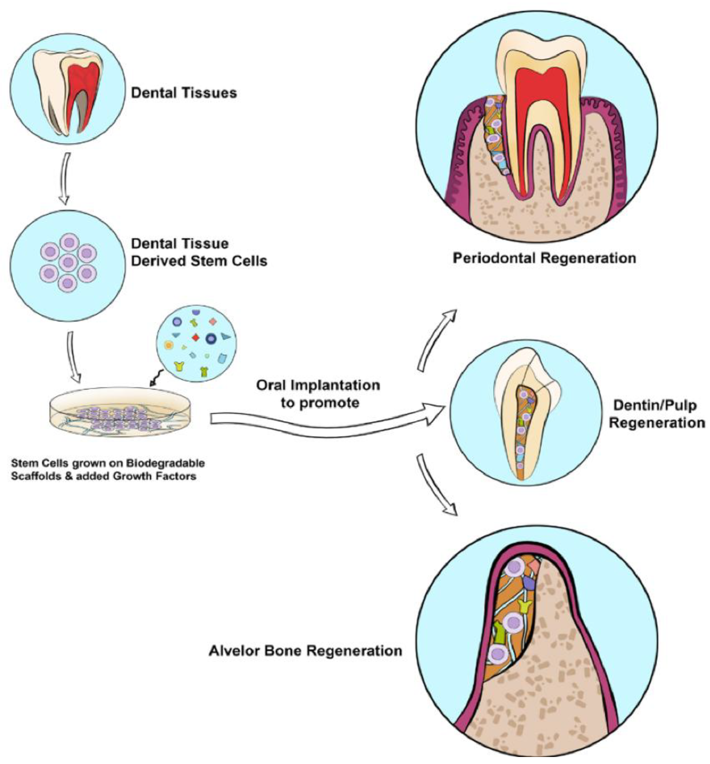 Preprints 172282 g002