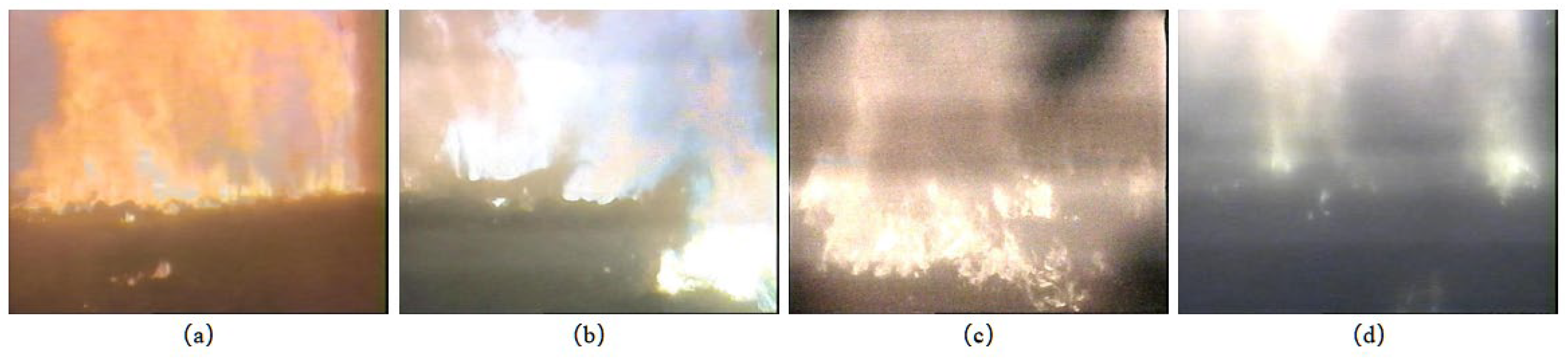 Preprints 152717 g001