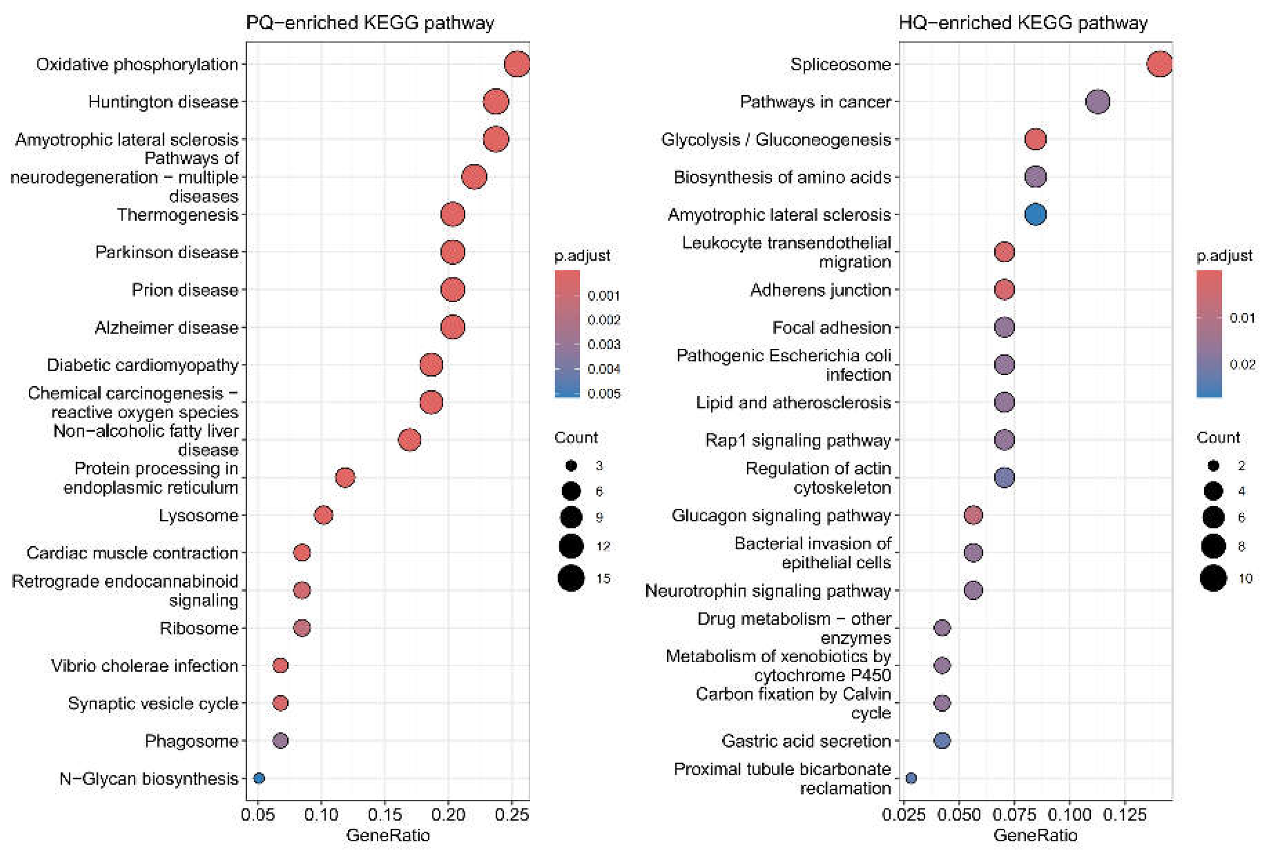 Preprints 217804 g004 Preprints 217804 g004