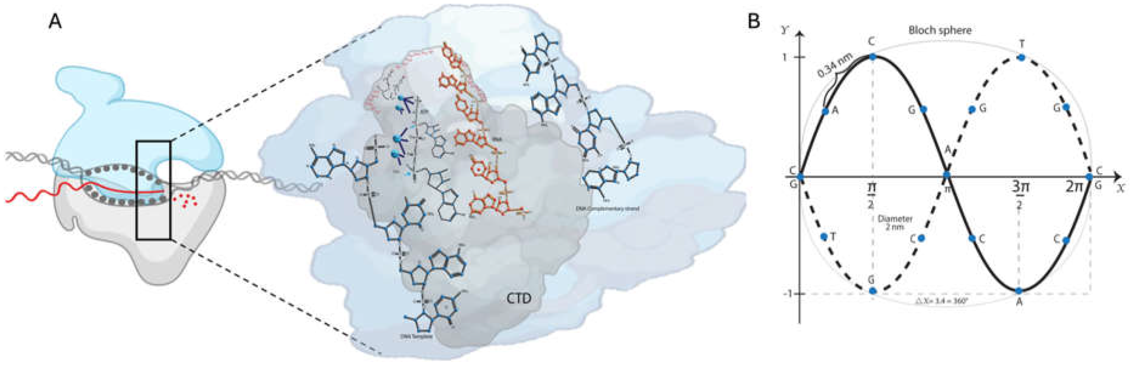 Preprints 118000 g001