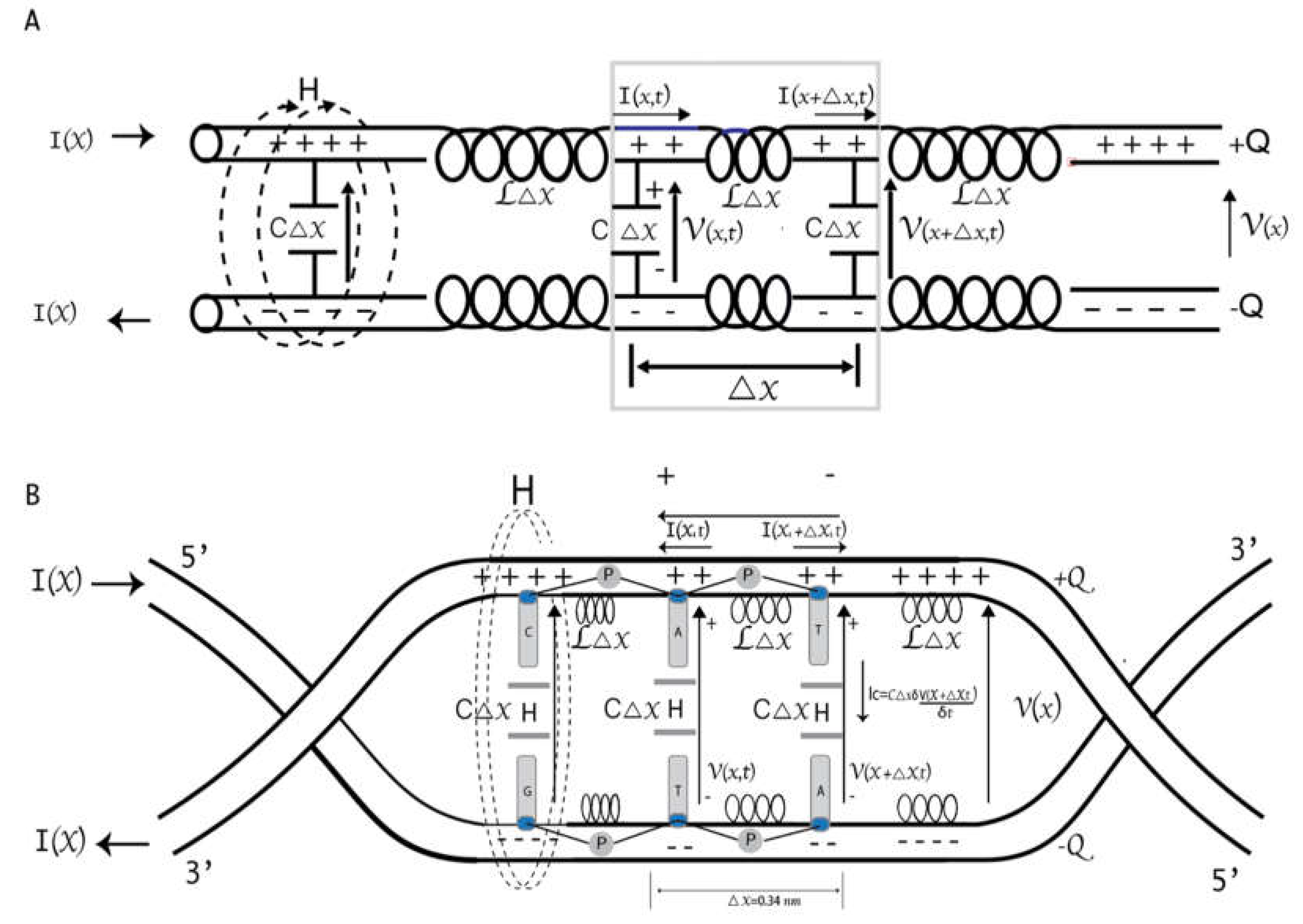 Preprints 118000 g004