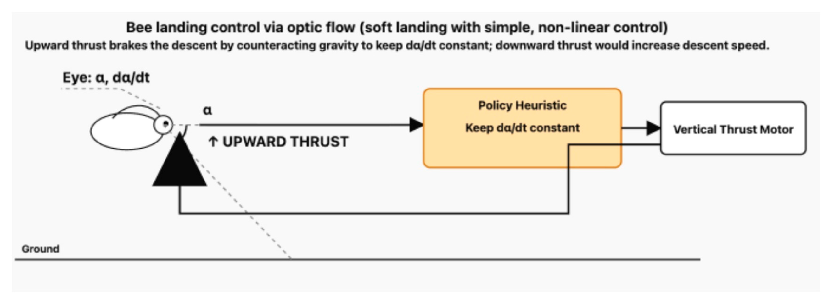 Preprints 189115 g003