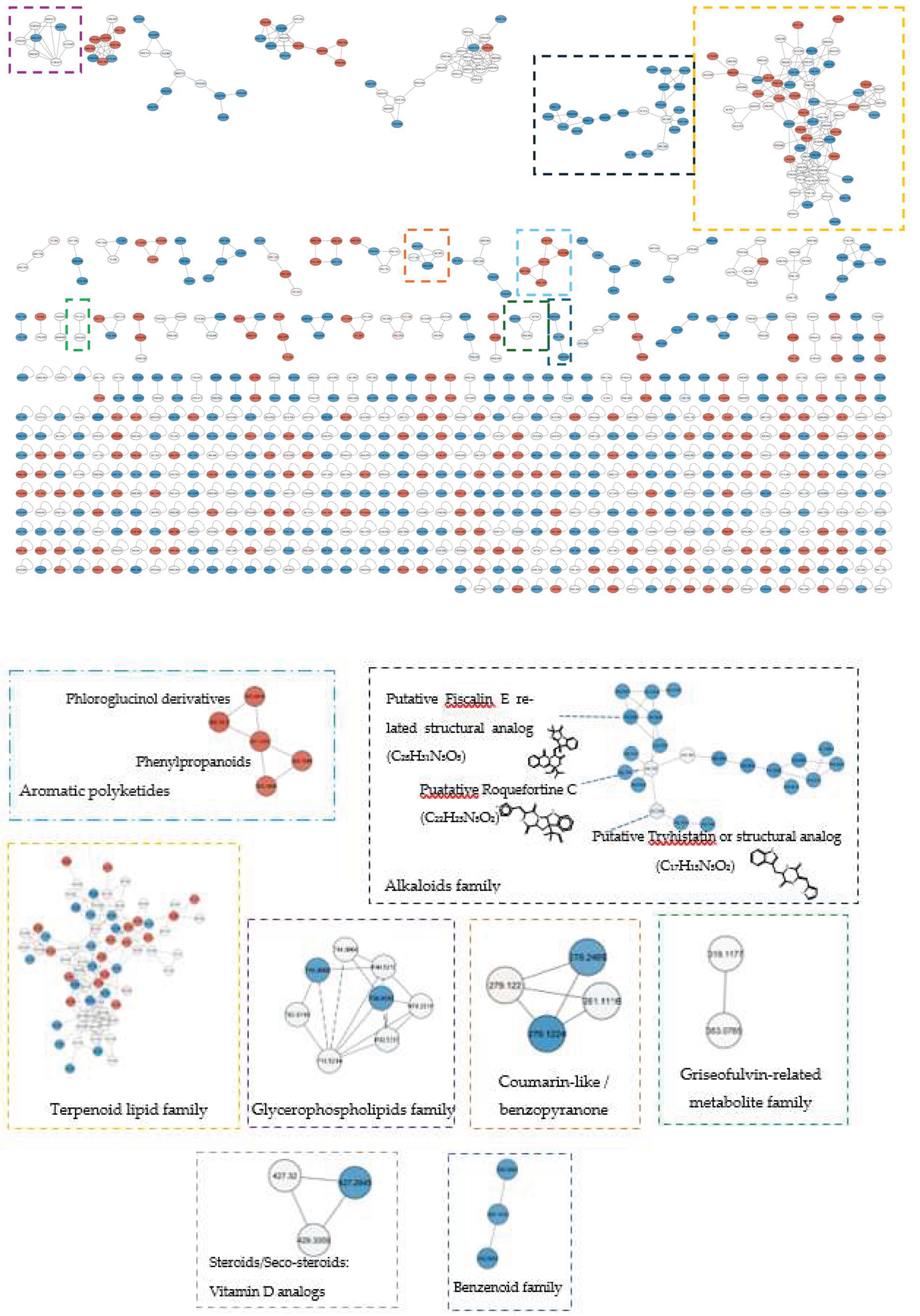 Preprints 206351 g007 Preprints 206351 g007