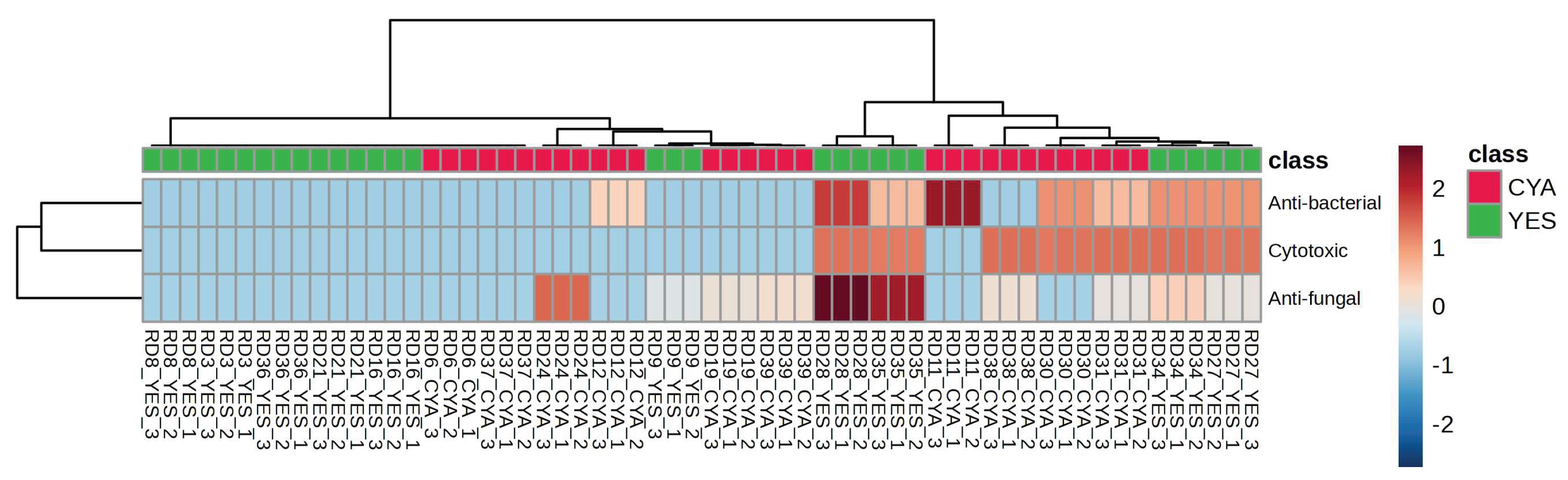 Preprints 206351 g008 Preprints 206351 g008