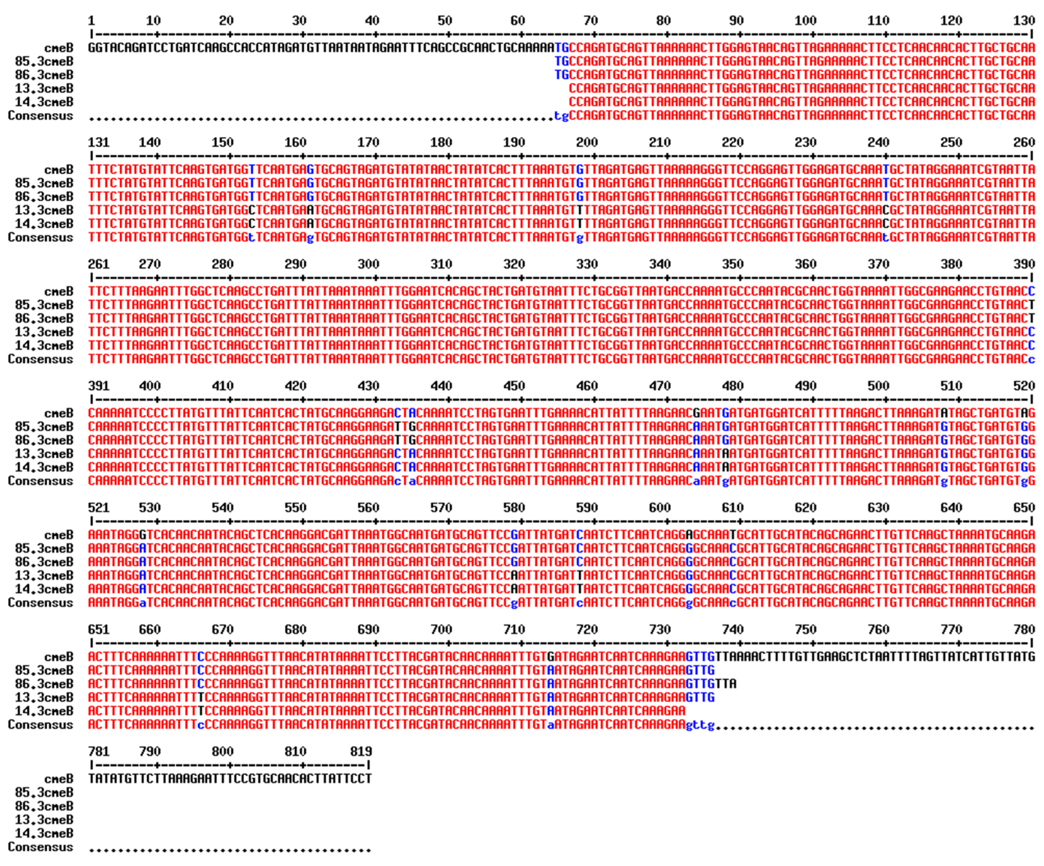 Preprints 161798 g002