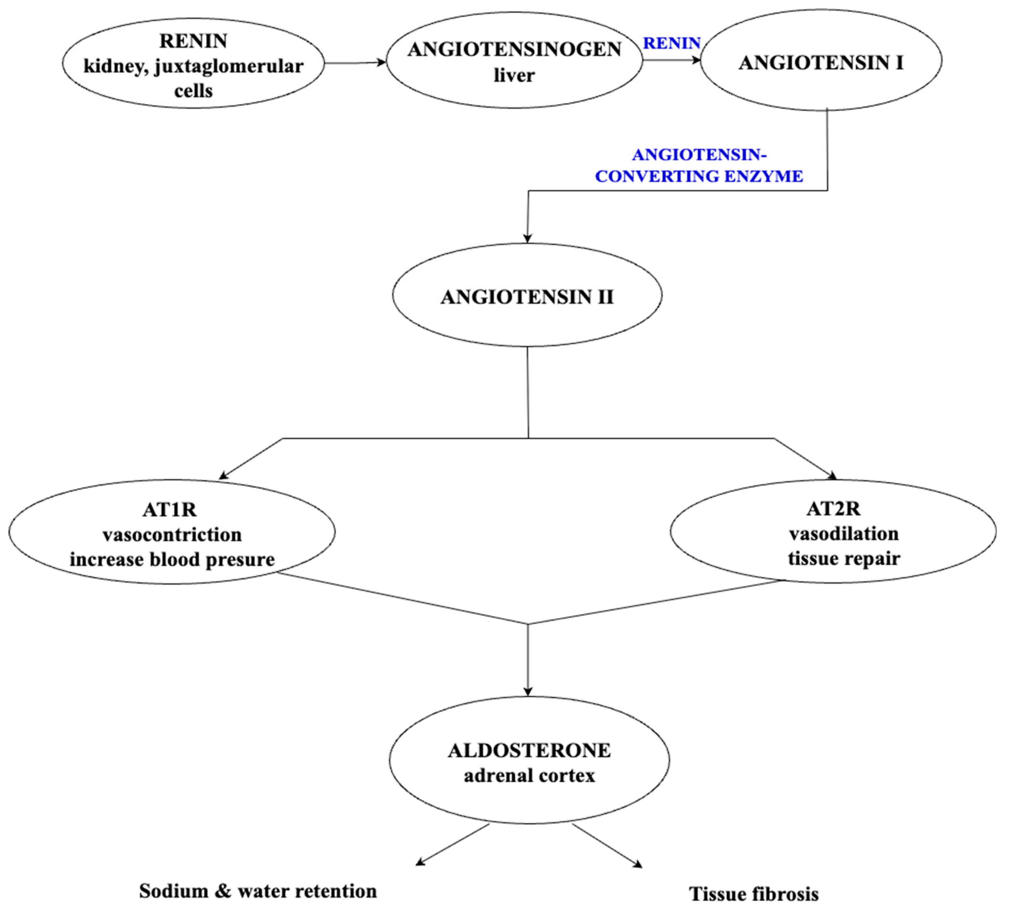 Preprints 176802 g002