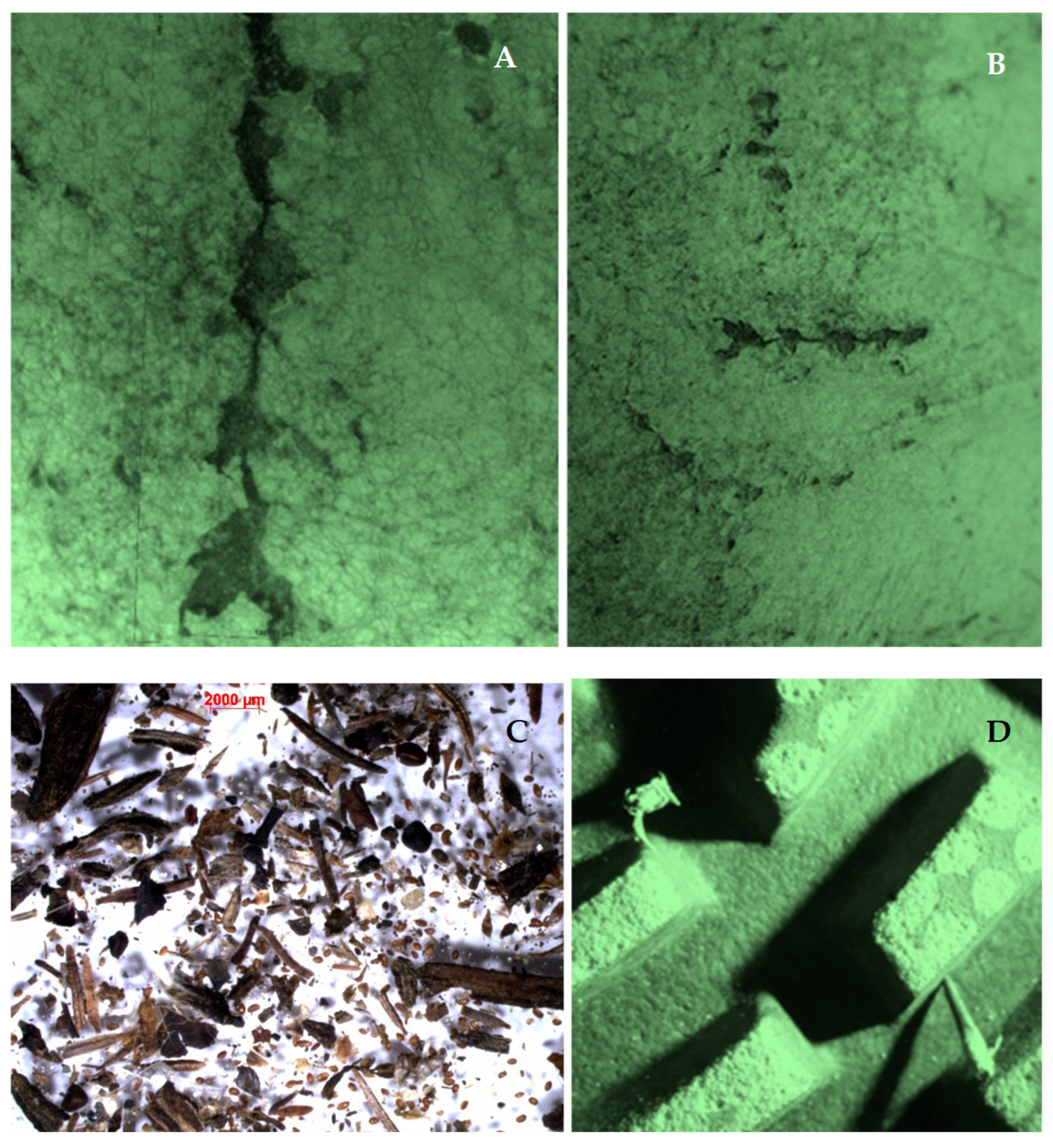 Preprints 87036 g002