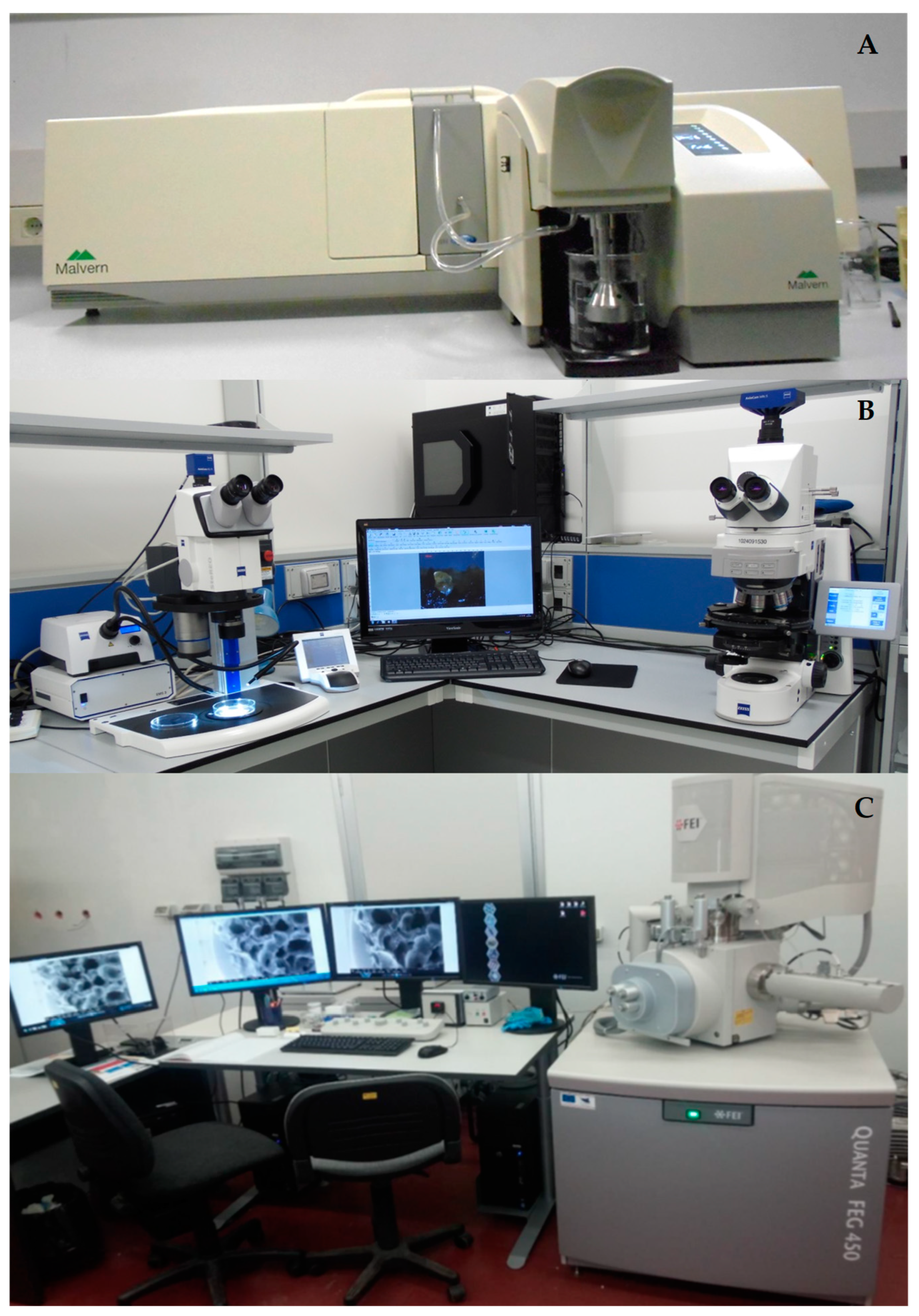 Preprints 87036 g003