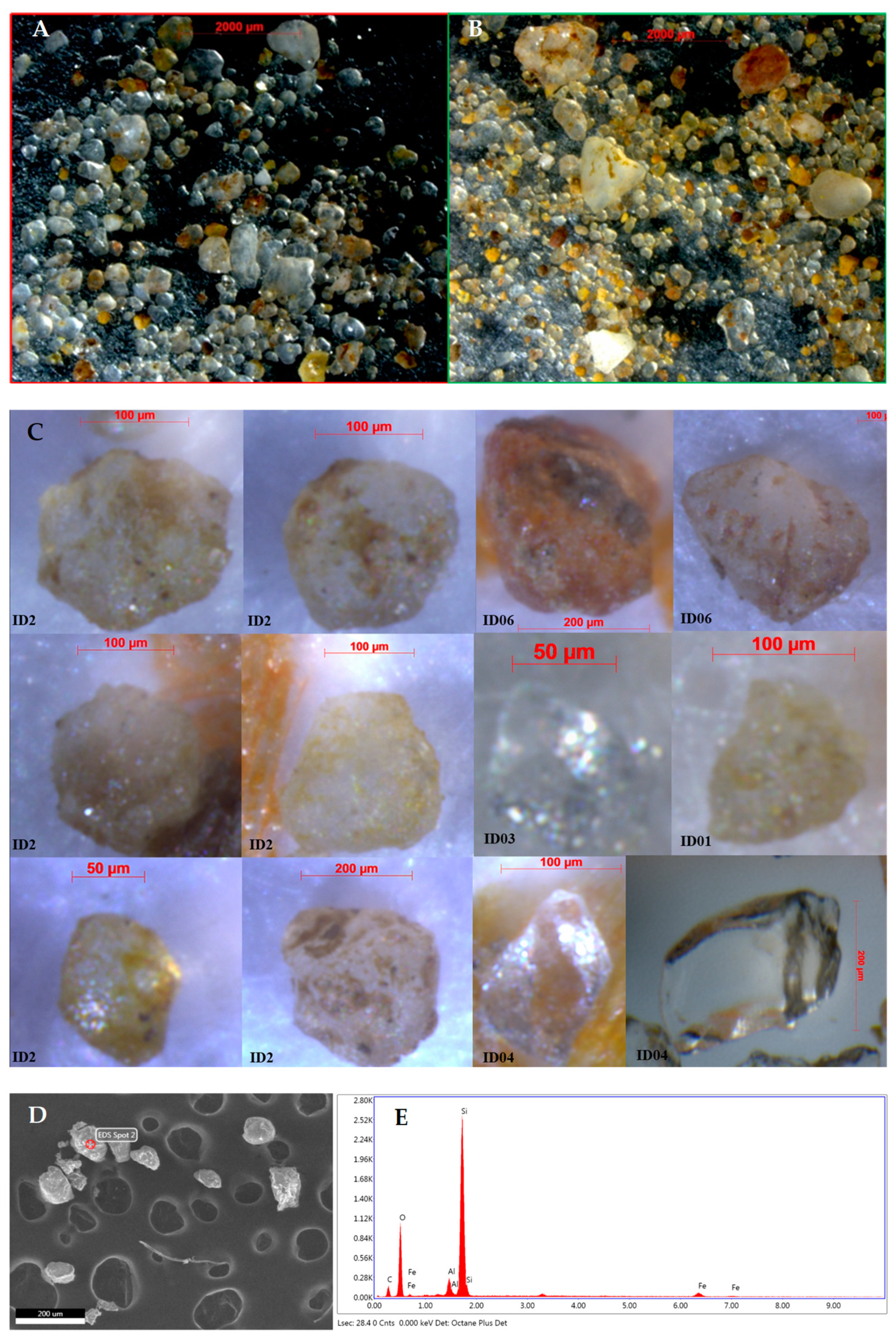 Preprints 87036 g004