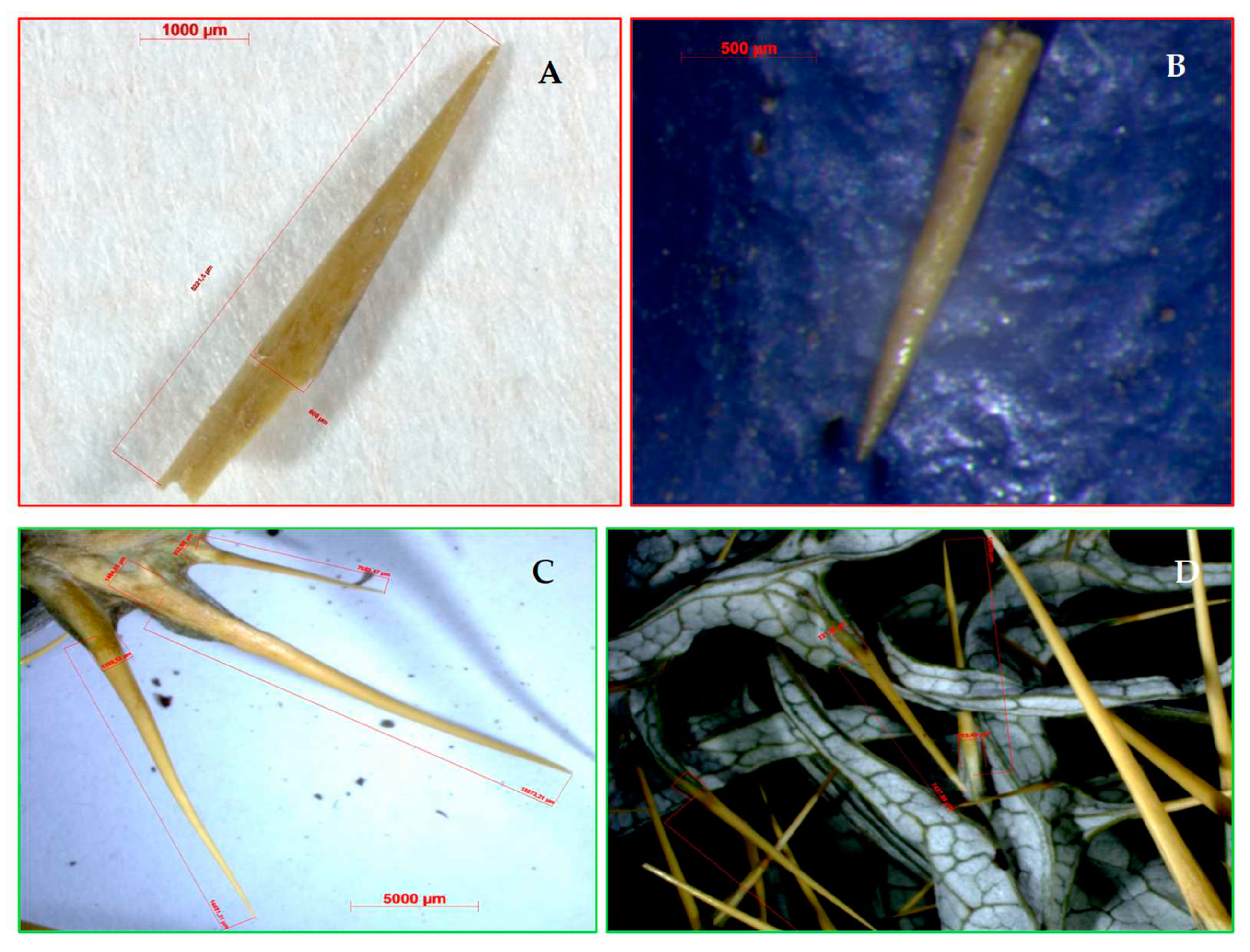 Preprints 87036 g008