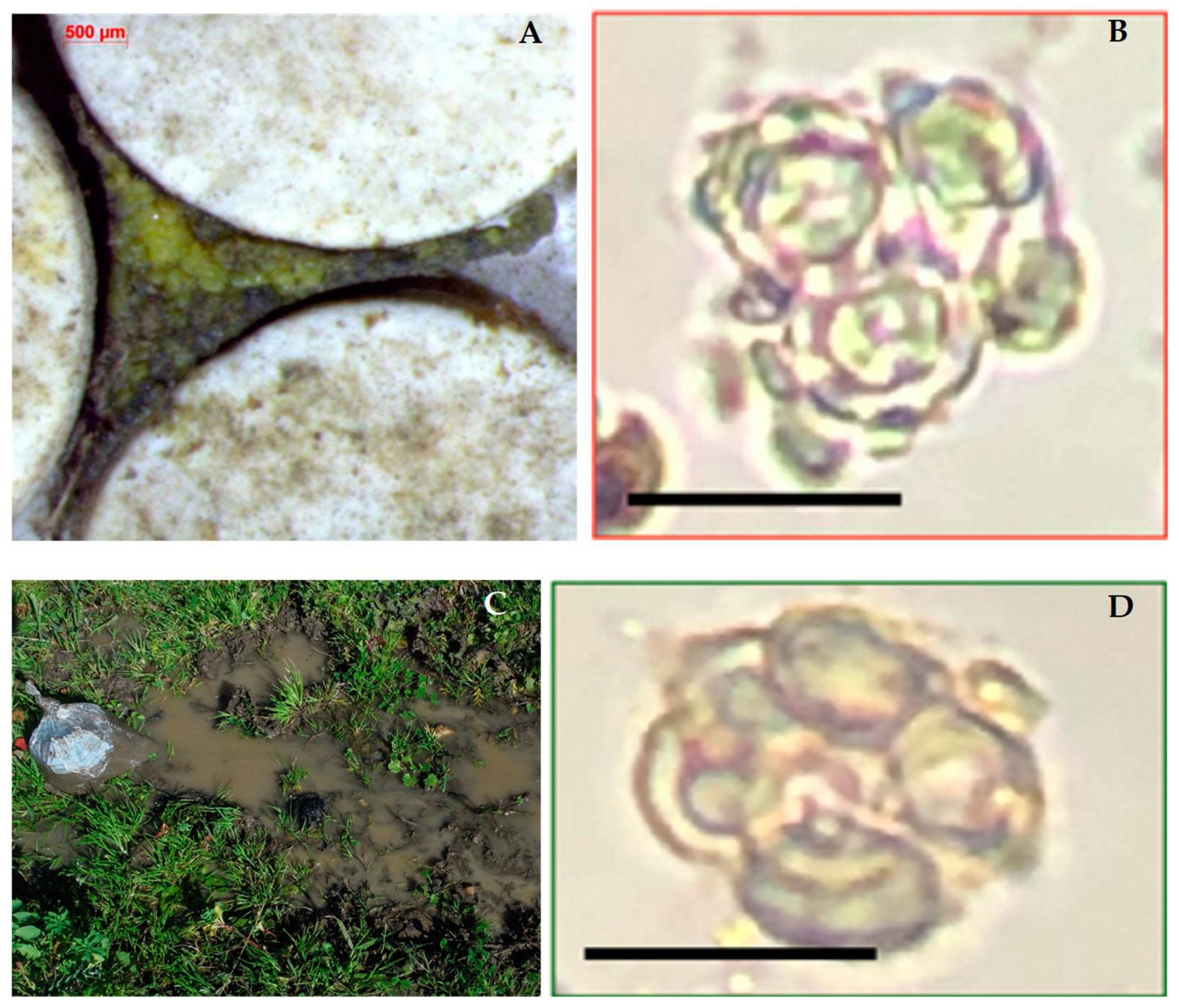Preprints 87036 g009