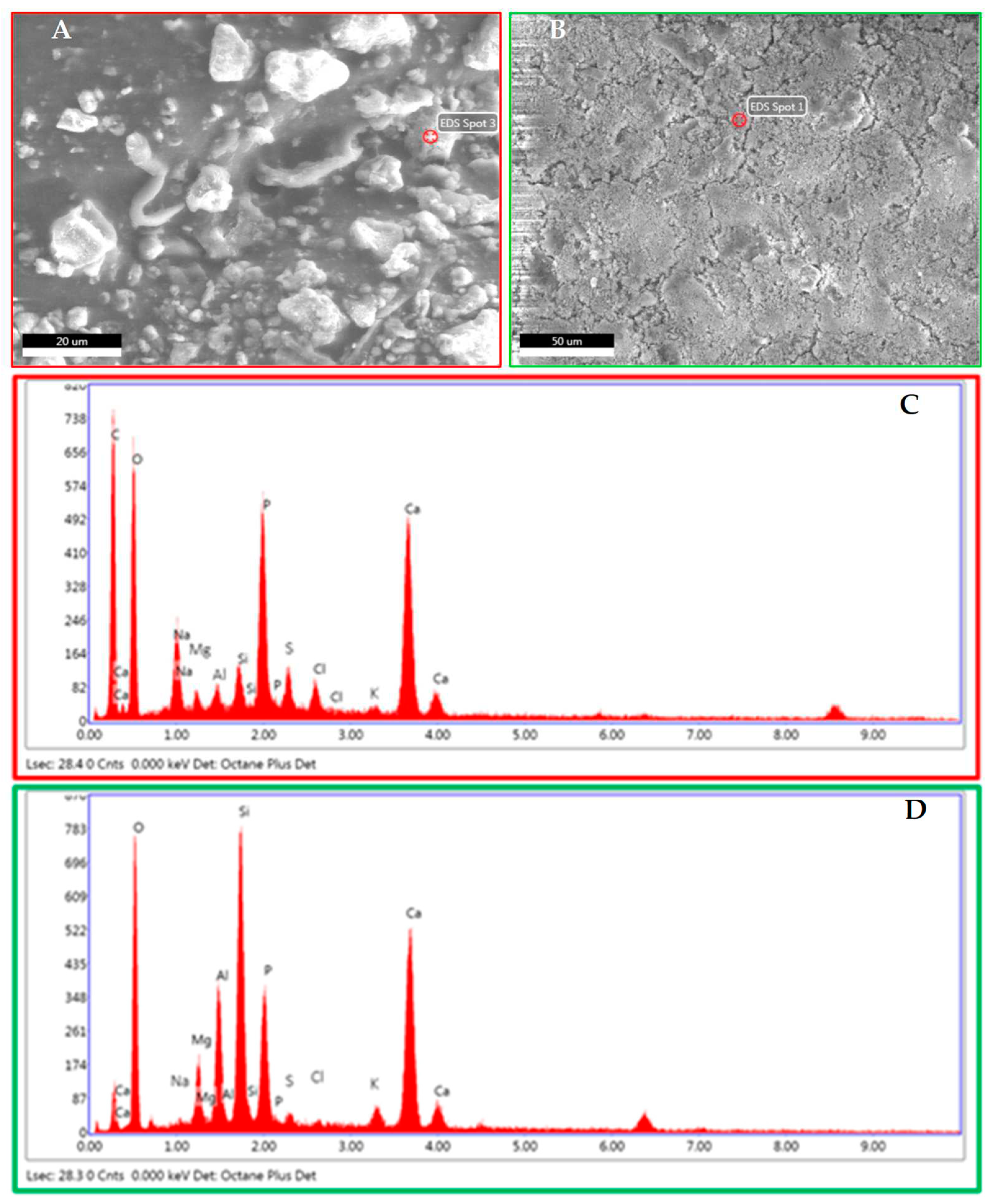 Preprints 87036 g010