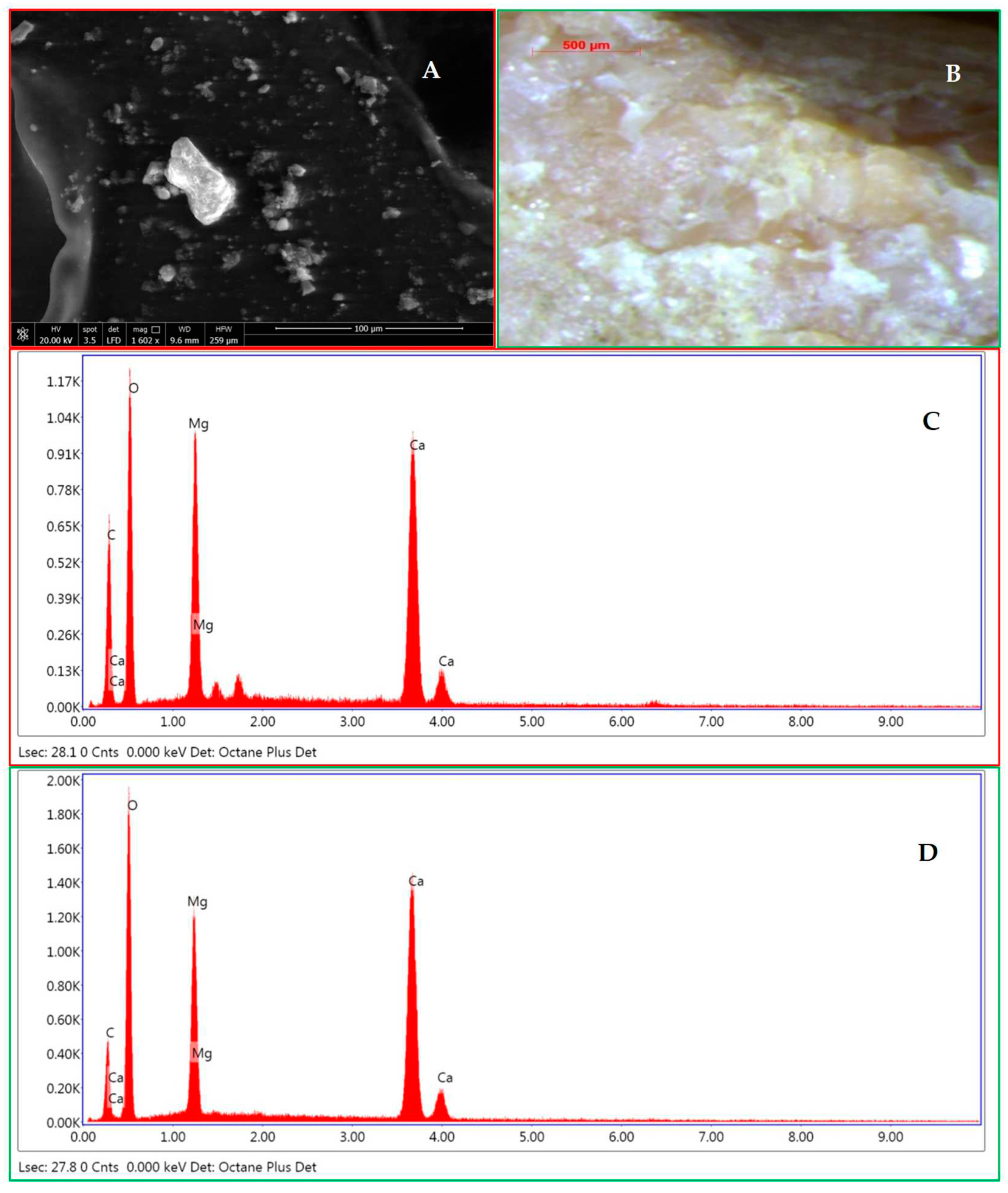 Preprints 87036 g012