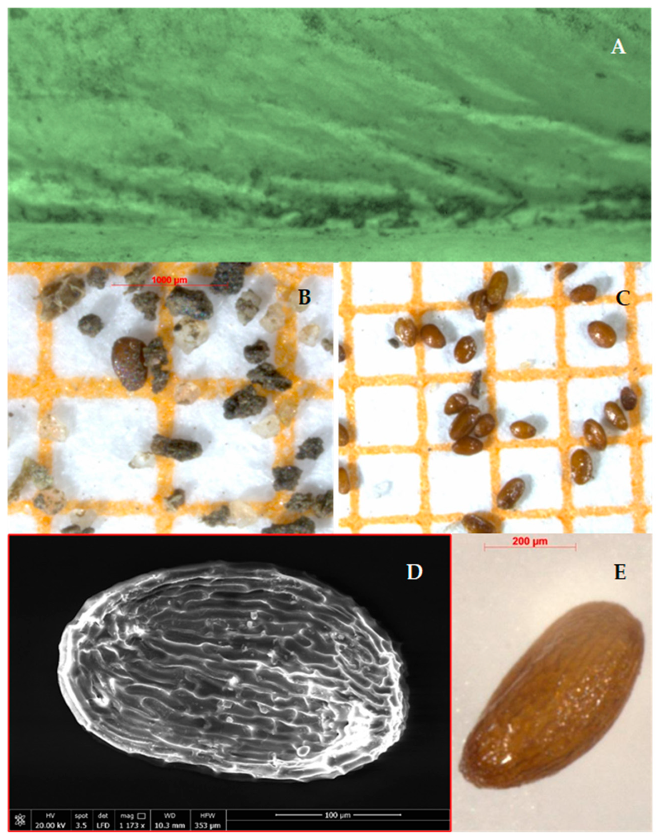 Preprints 87036 g013