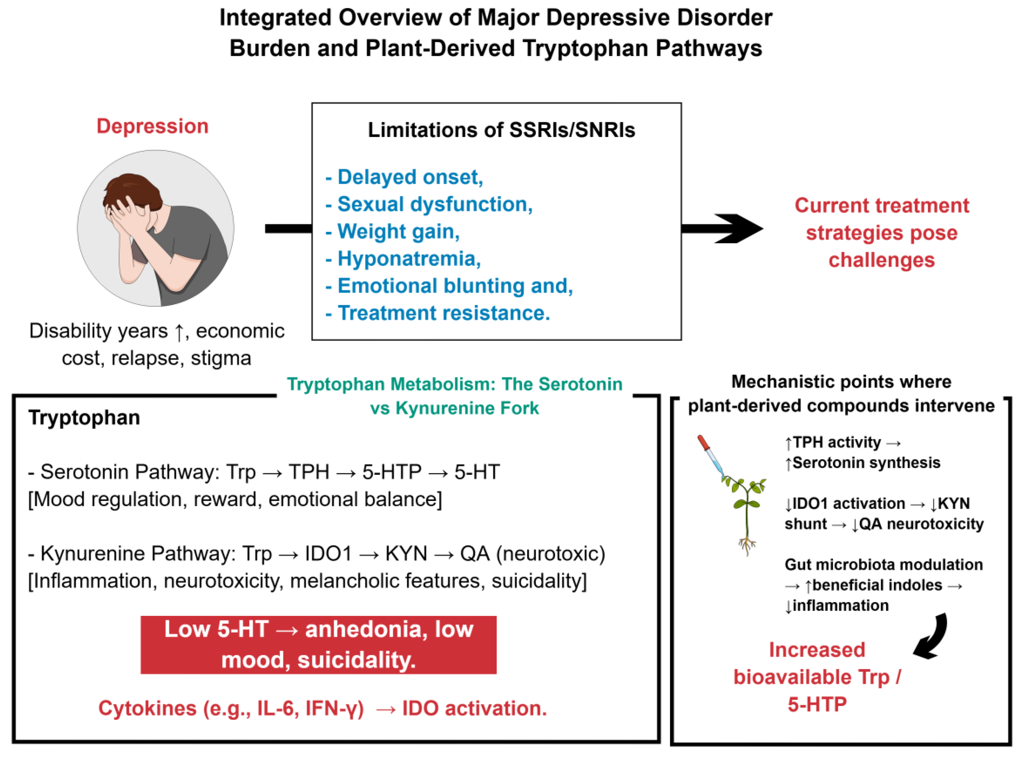 Preprints 188010 g001