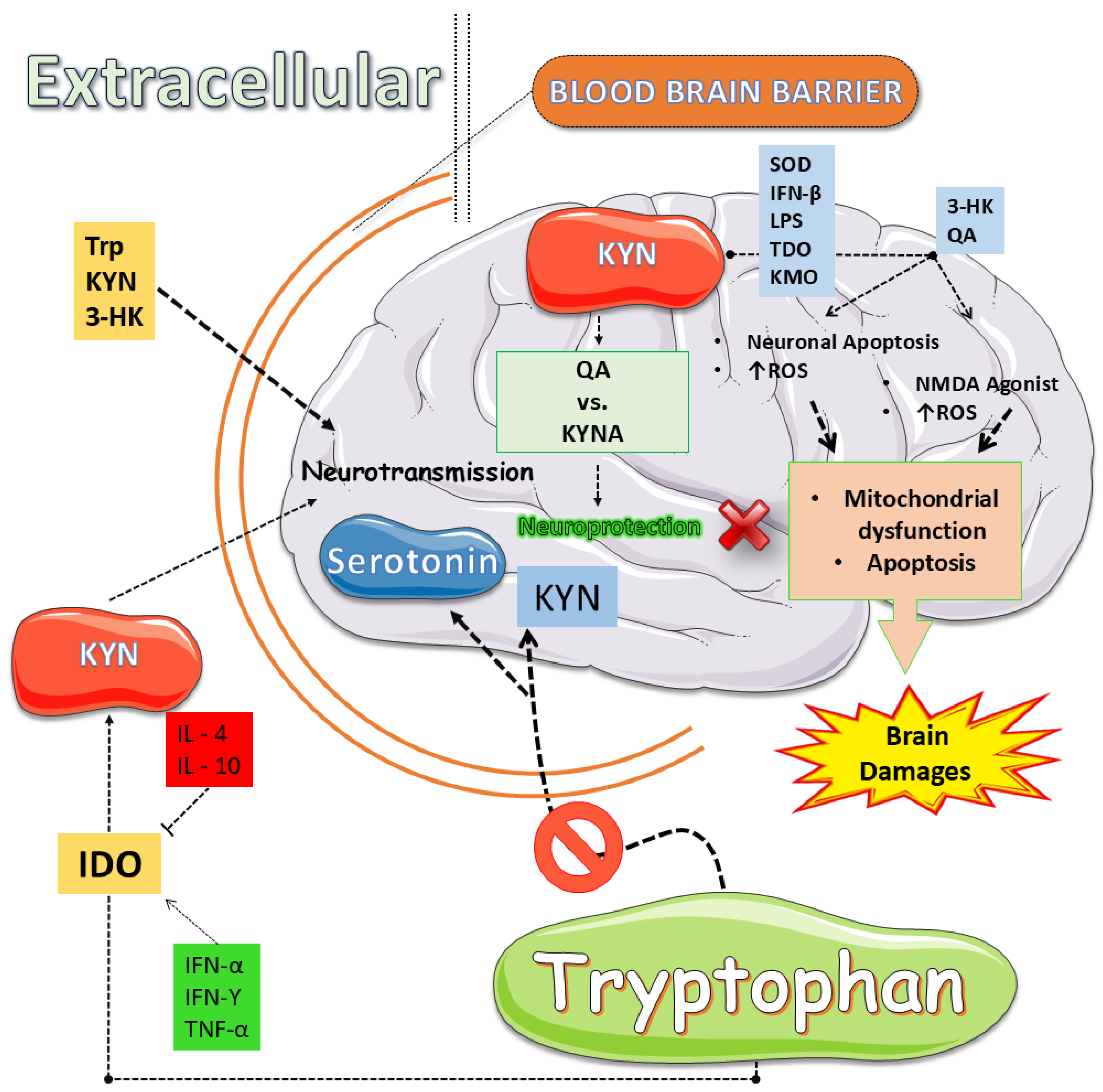 Preprints 188010 g002